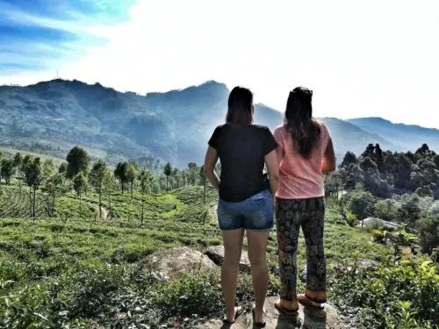 White Monkey Dias Rest