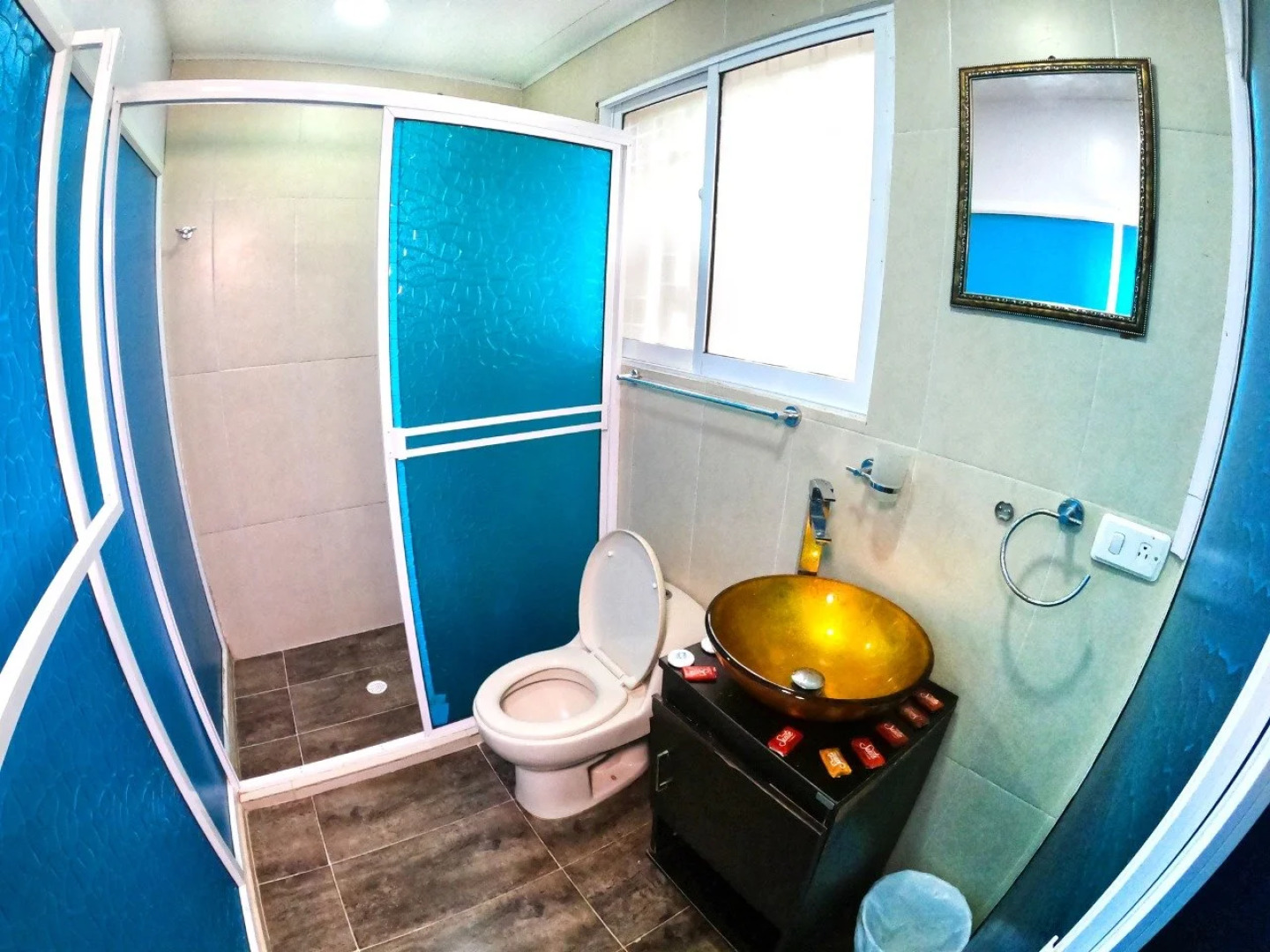 Viaja Con Ganas Colibri