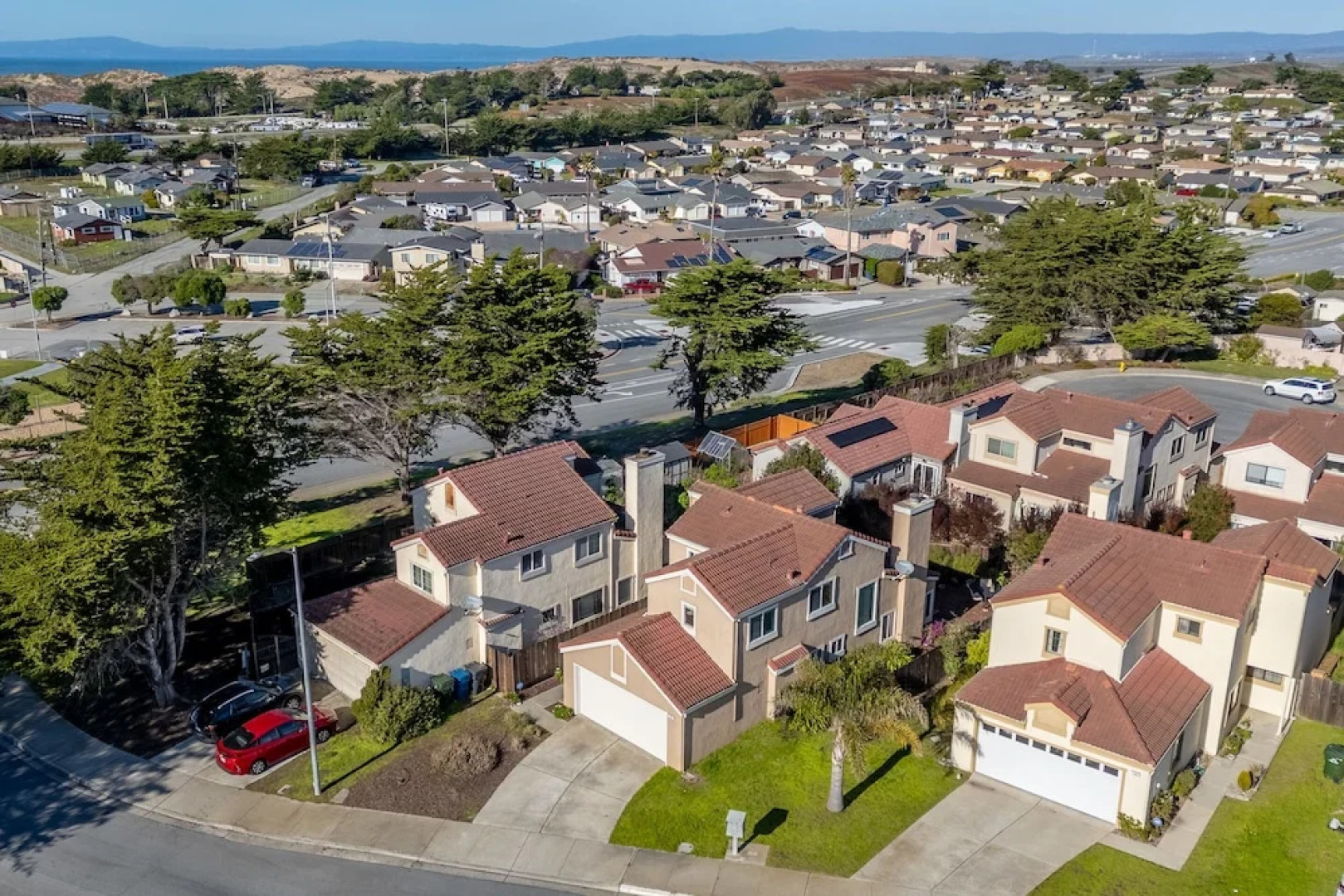 Succulents & Seashells Coastal Paradise by Beach