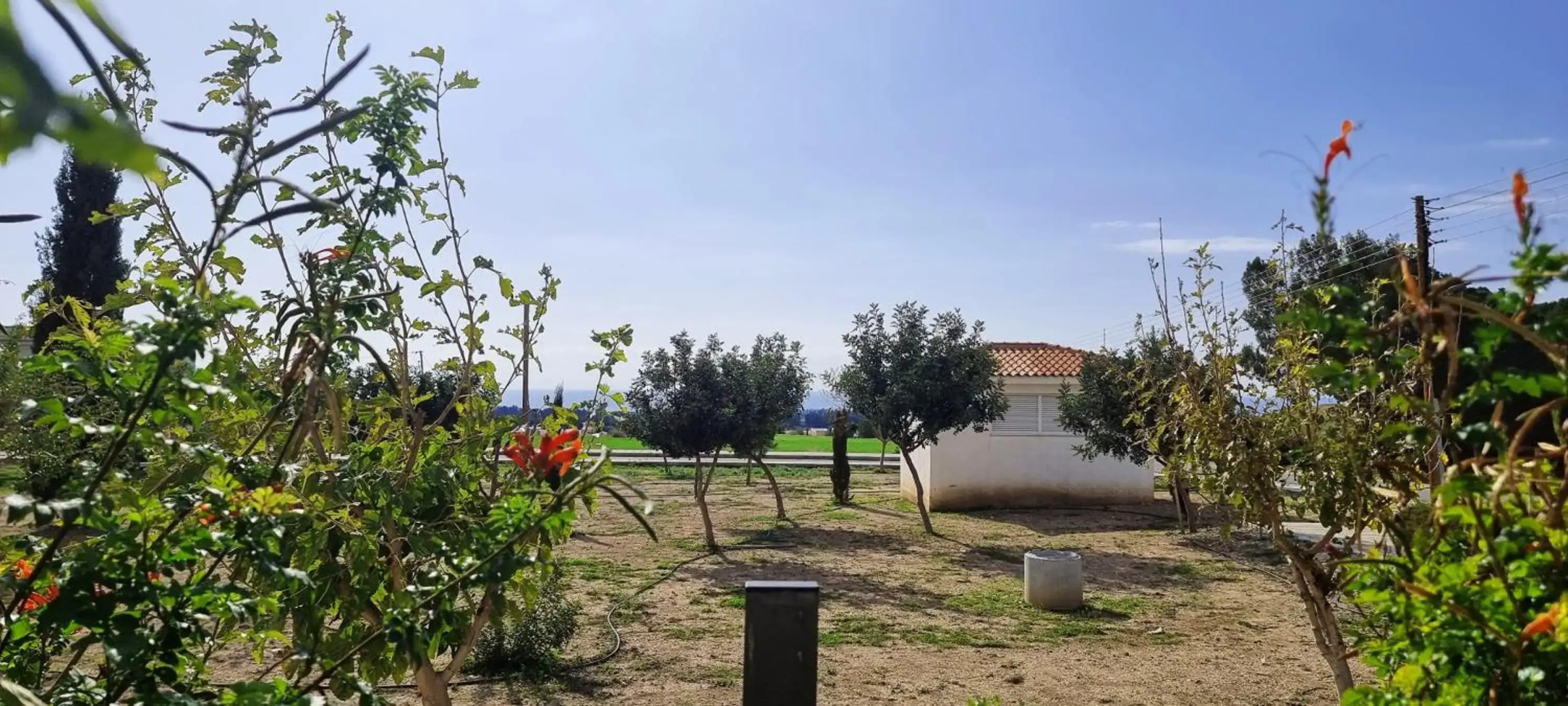 Shanti Paphos Holiday House