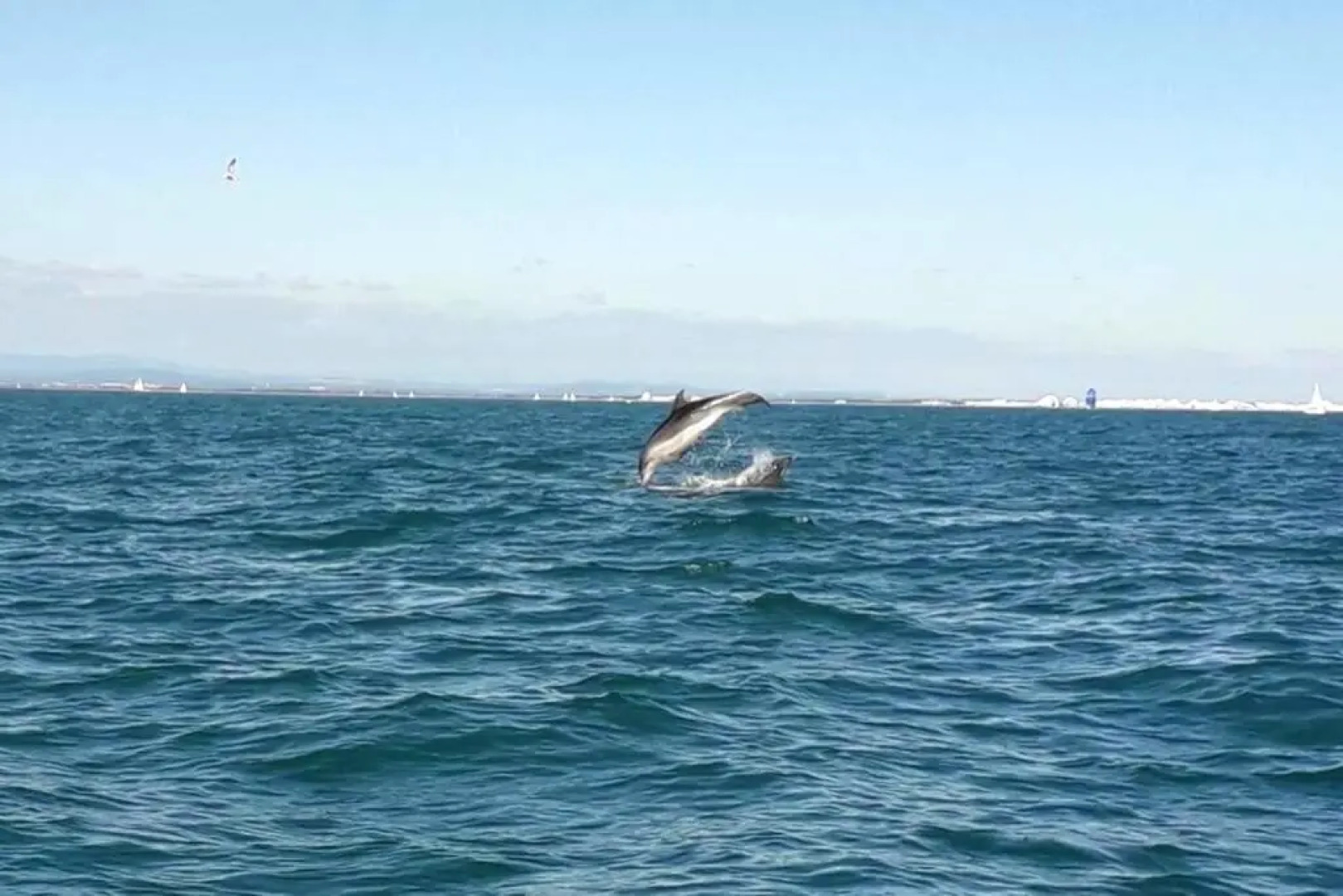 Maison de 2 chambres avec jardin clos et wifi a Marsillargues