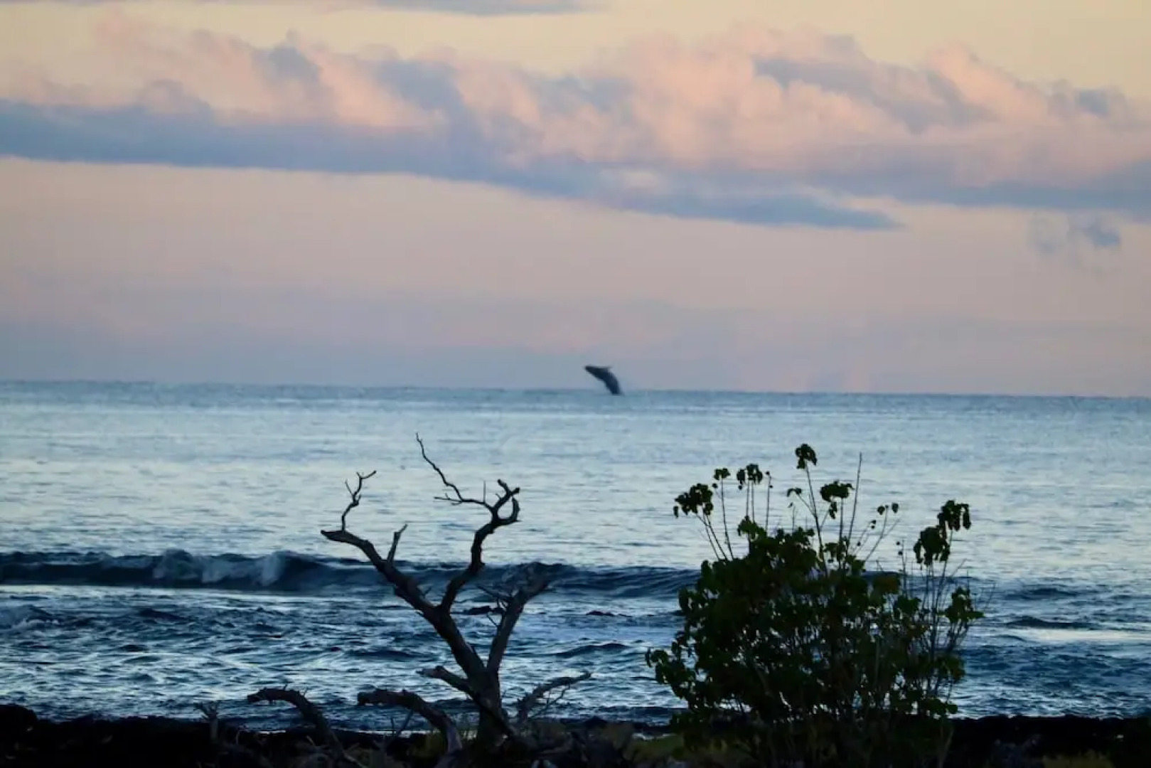 22 Puako Beach Drive Cottage 1 Bedroom 1 Bathroom Cottage