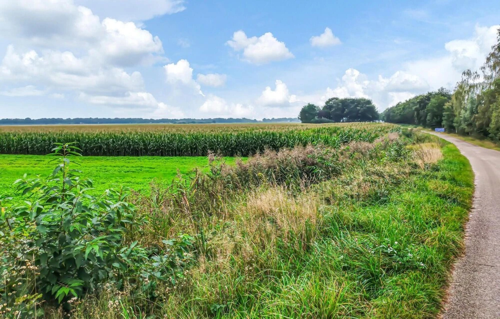 Stunning Home in Vlagtwedde With Wifi, 4 Bedrooms and Indoor Swimming Pool