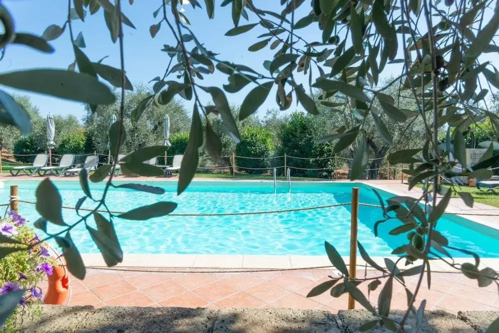 Tenuta di Poggio Cavallo