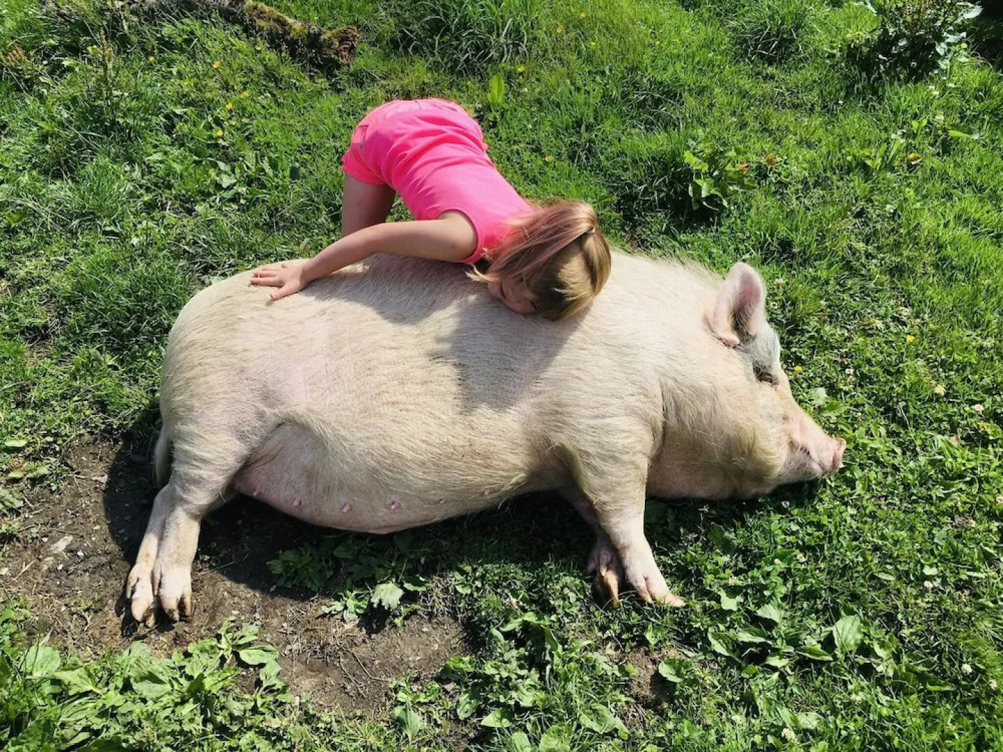 Gratton Grange Farm B&B