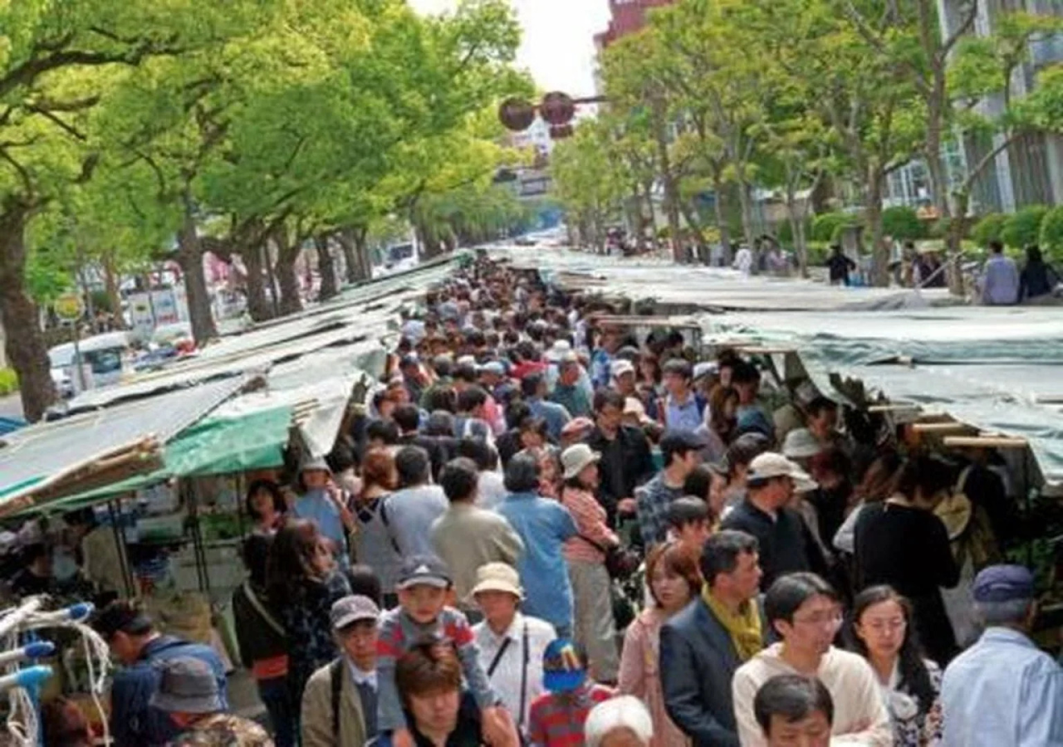 Hotel Best Price Kochi