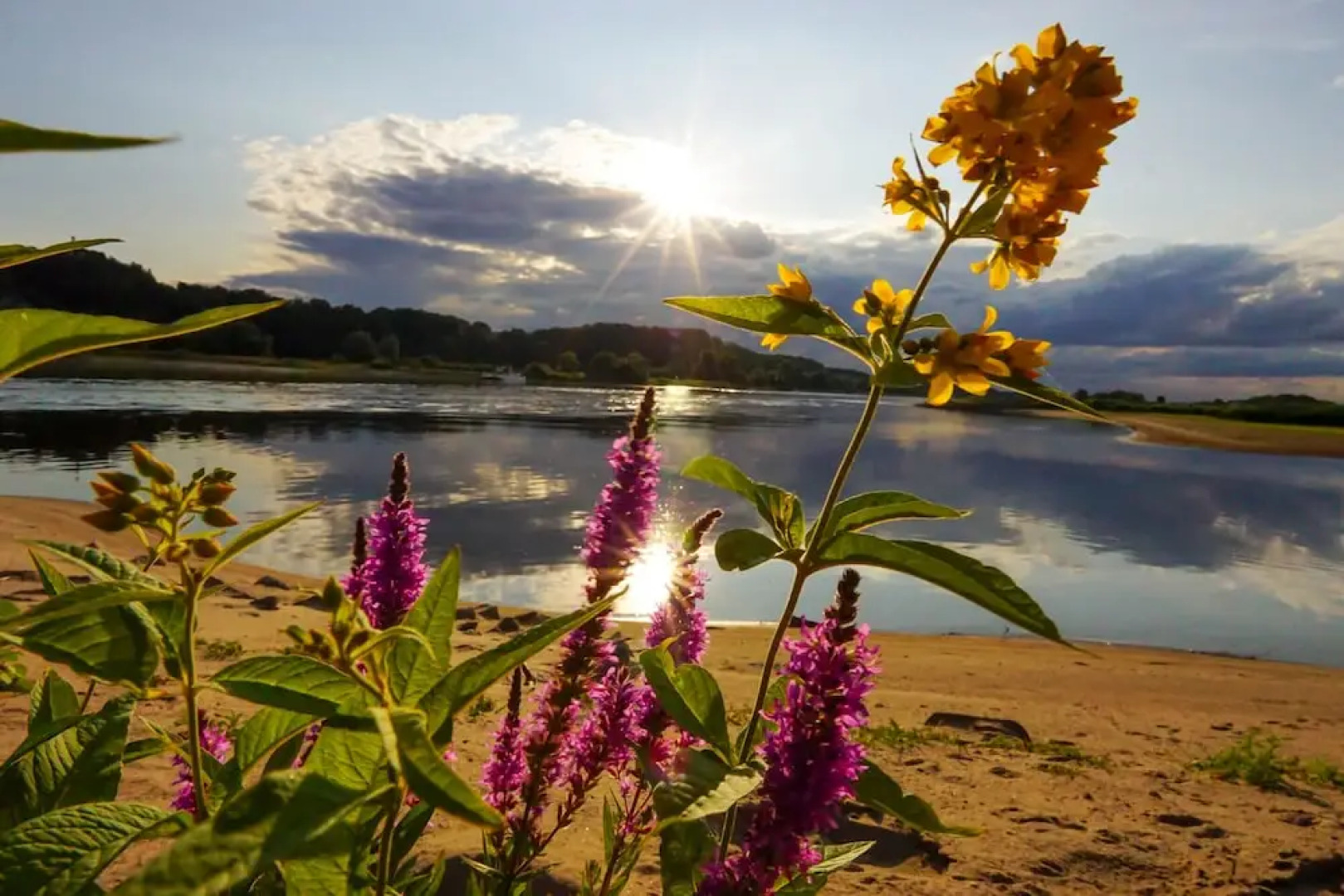 Sonnenhof Damnatz -Hotel garni-