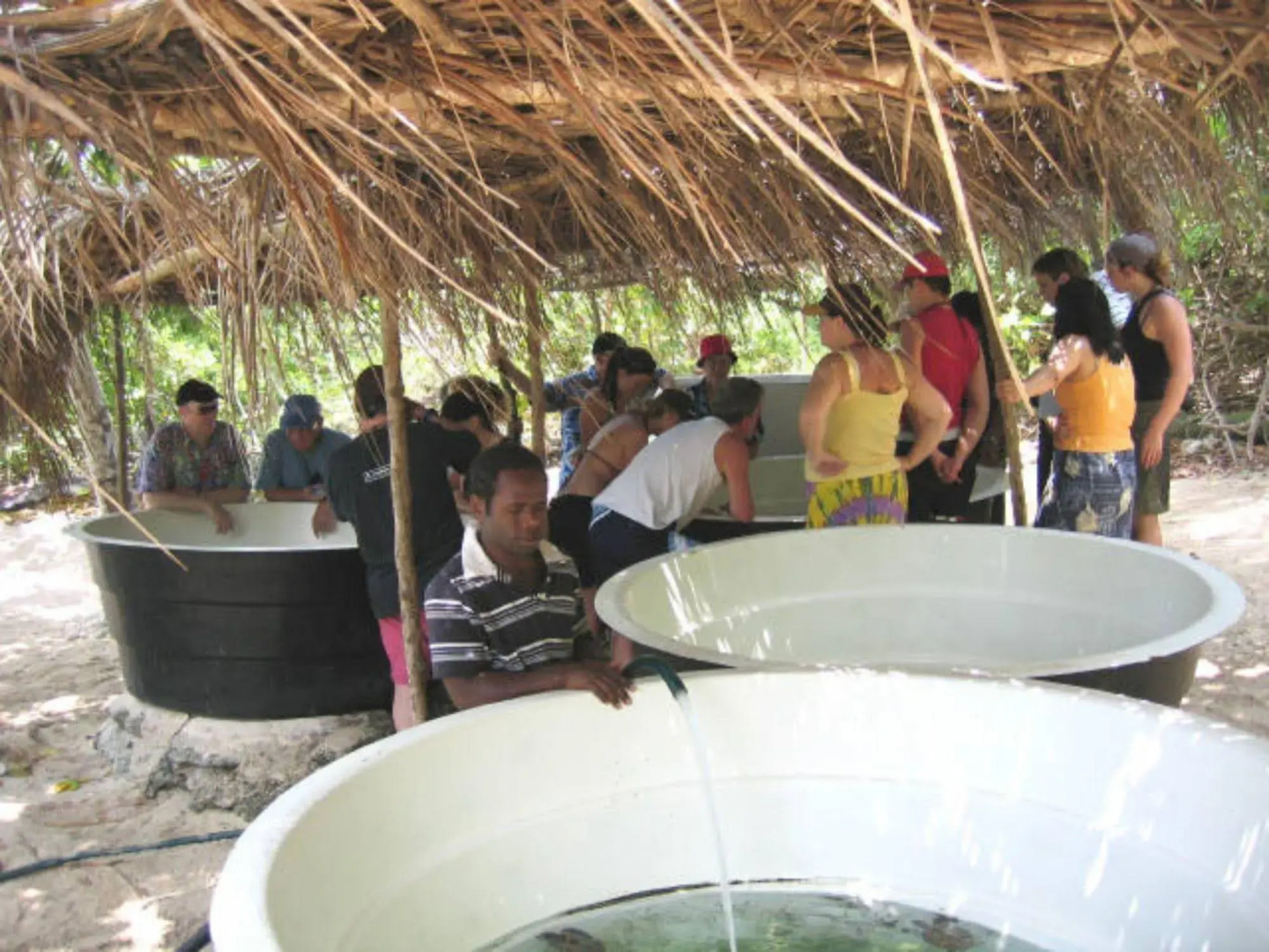 Tranquility Island Resort