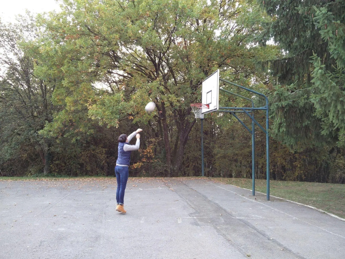 Mont-des-Pins Dennenheuvel