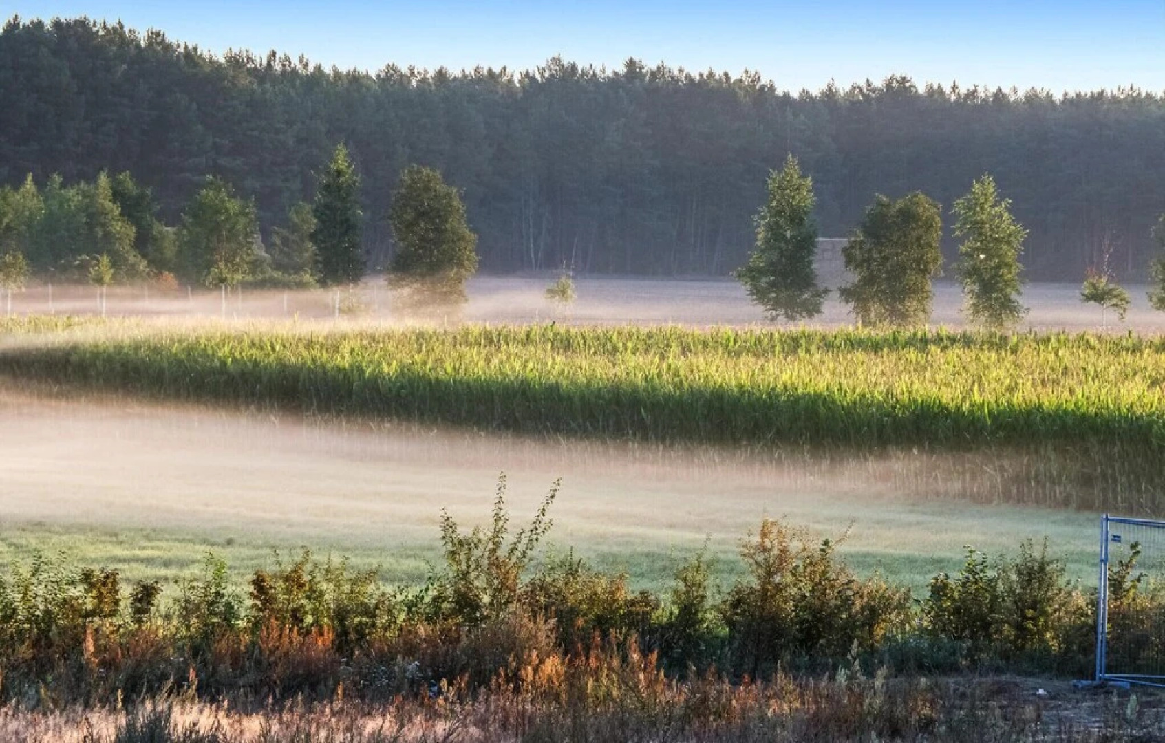 Stunning Home in Zerpenschleuse With 2 Bedrooms and Wifi