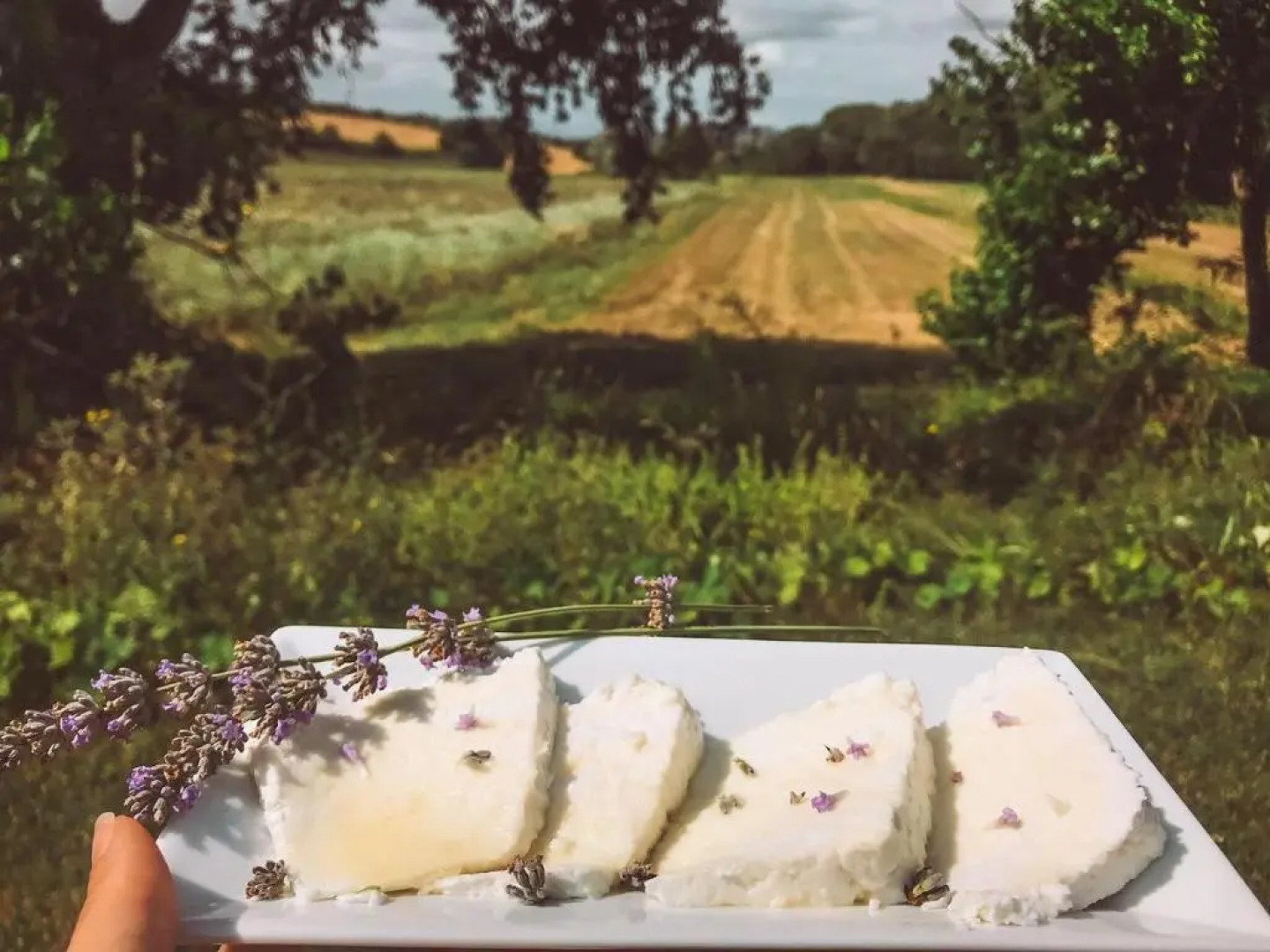 Agriturismo La Sorgente