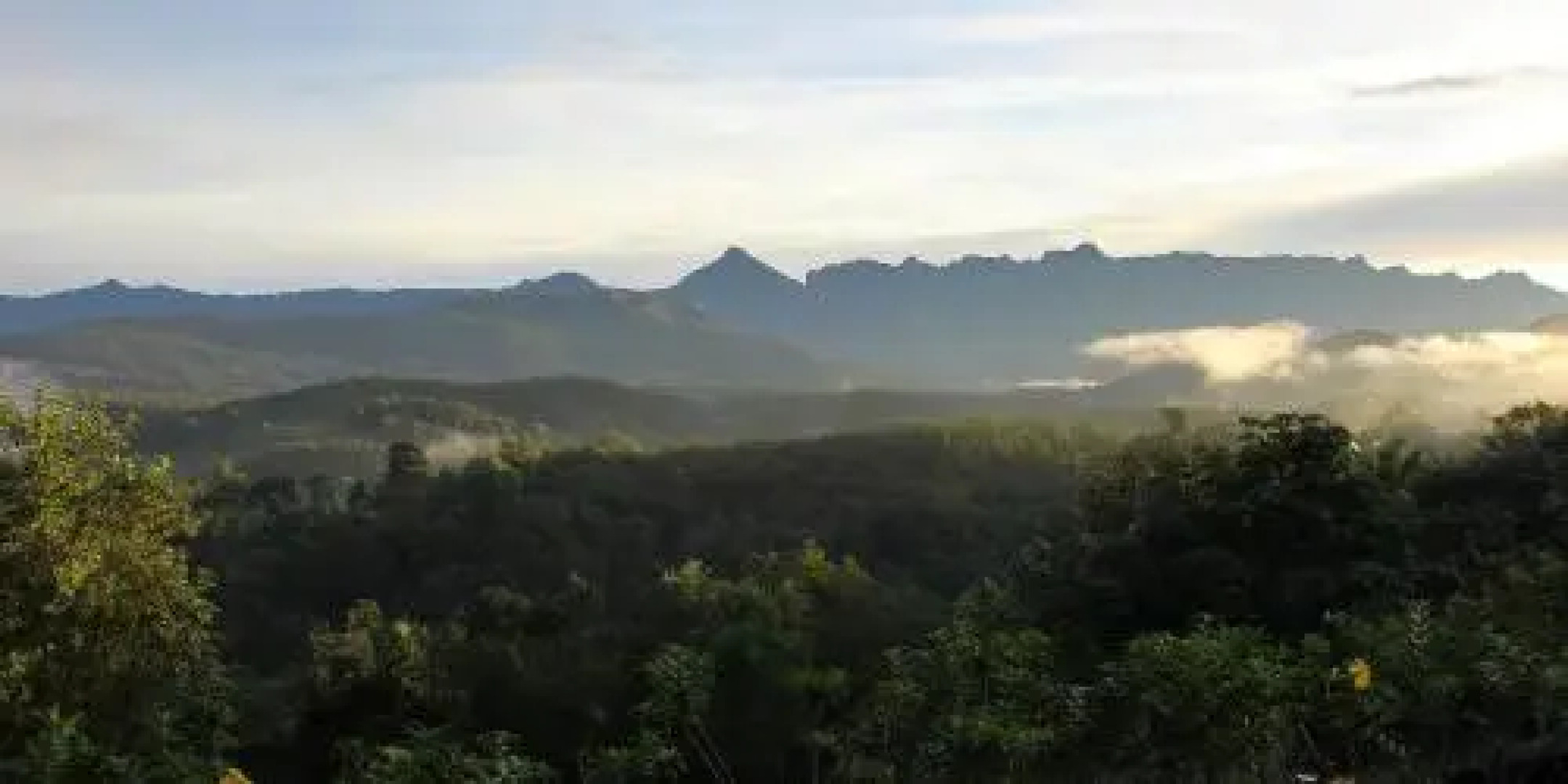 Bio Veda Ayurvedic Hill resort