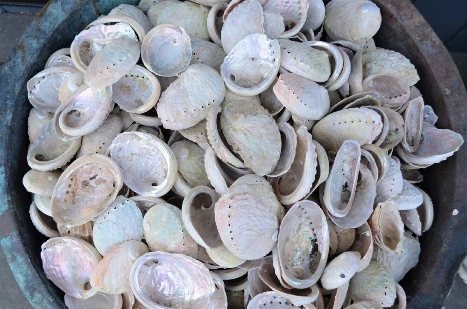 Flotsam Studio Accommodation