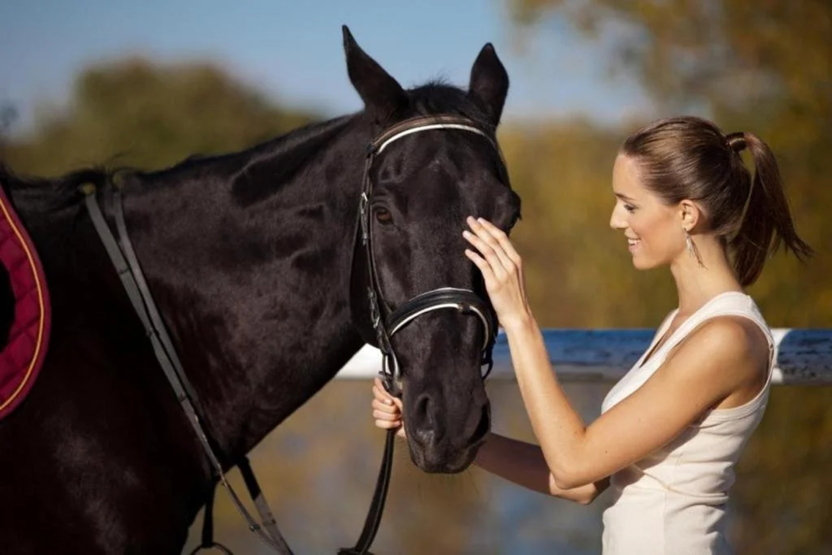 Equitana Hotel Resort