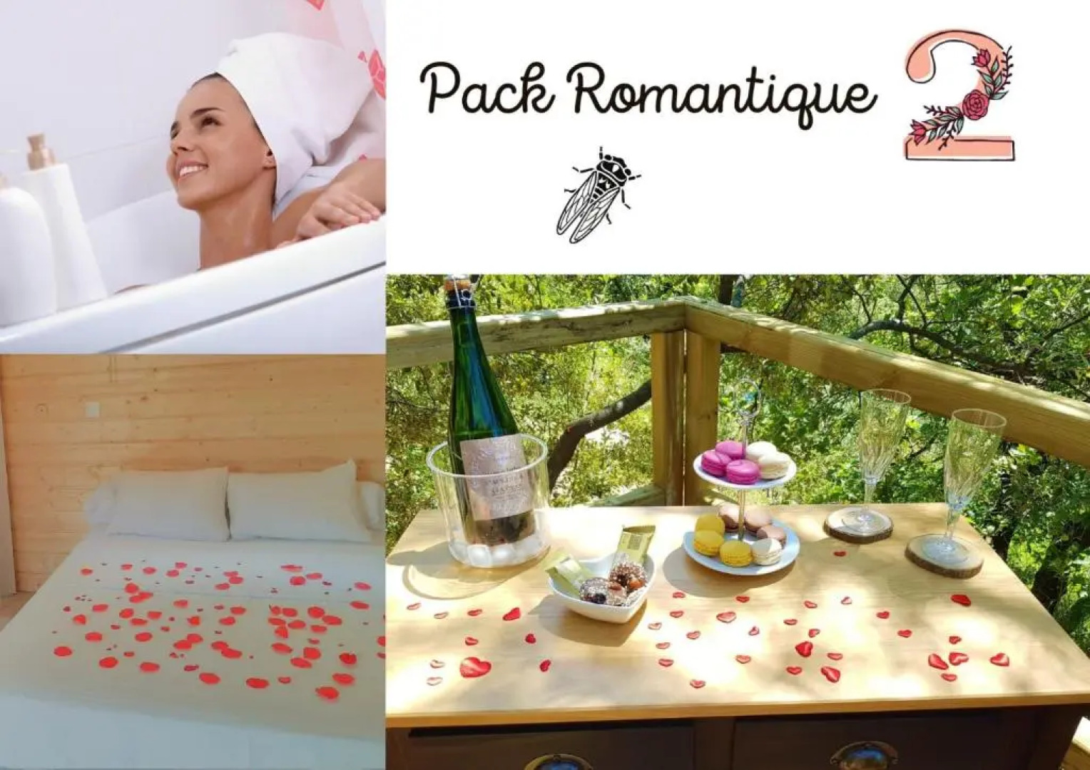 Cabane dans les arbres "La Kaz aux Cigales"