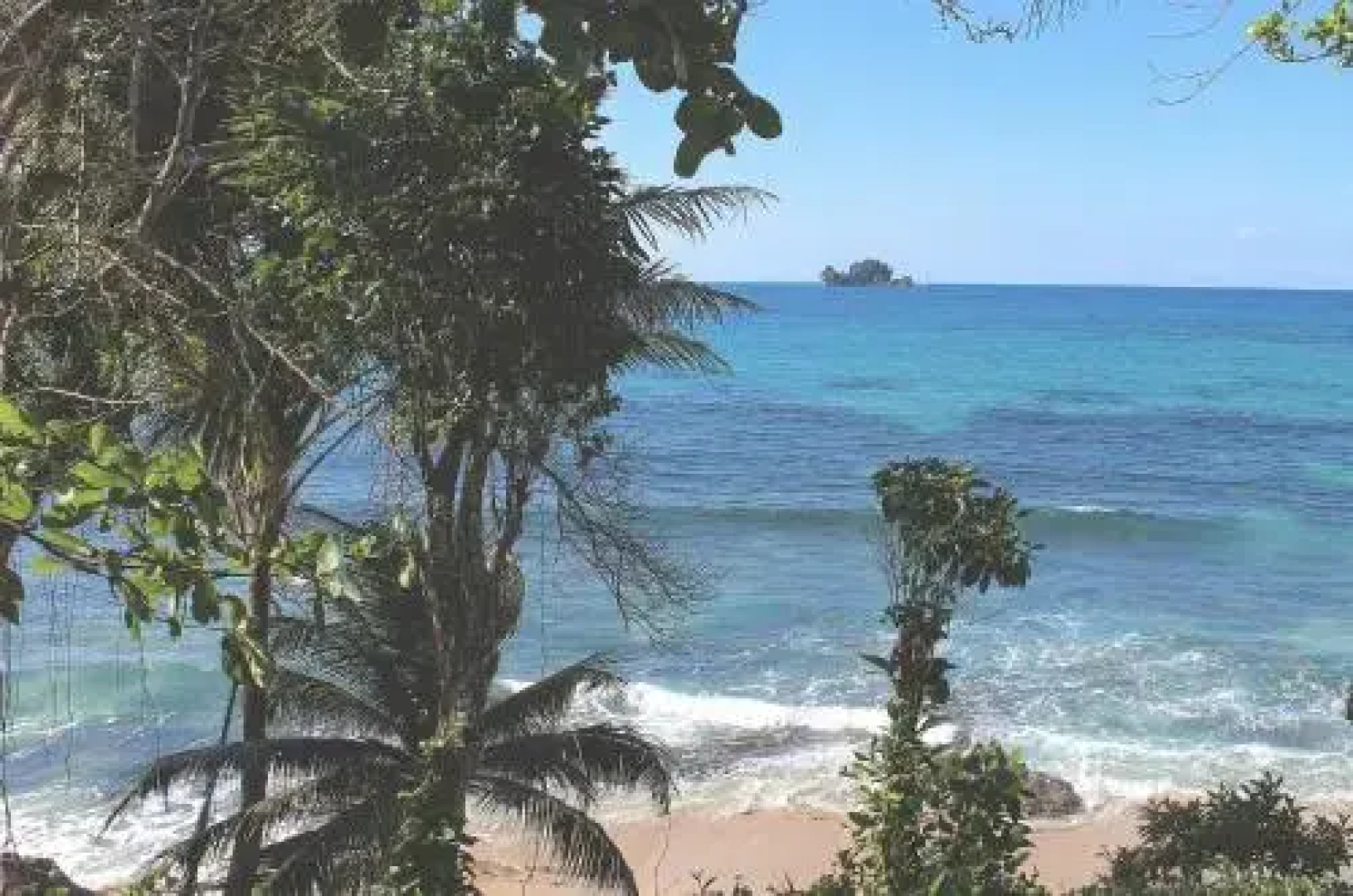Bird Island Bungalows