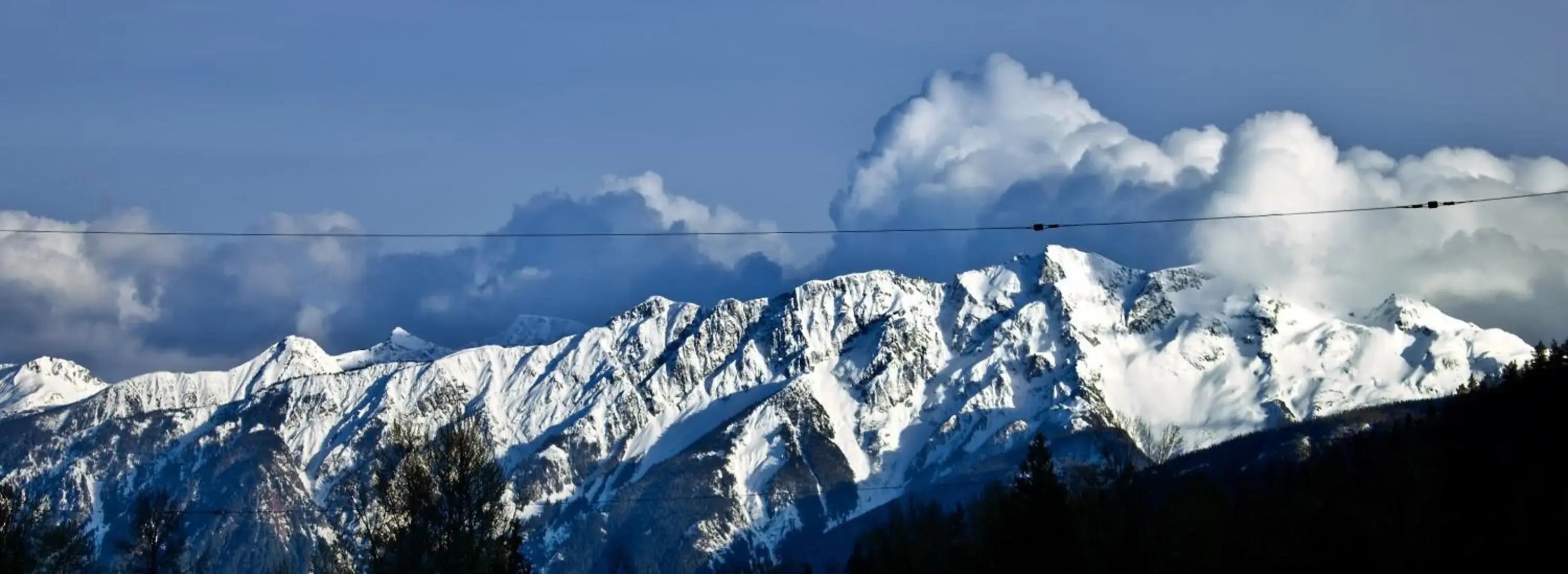 Pemberton Valley 1 bedroom unit WIFI cable TV free parking walk to Village