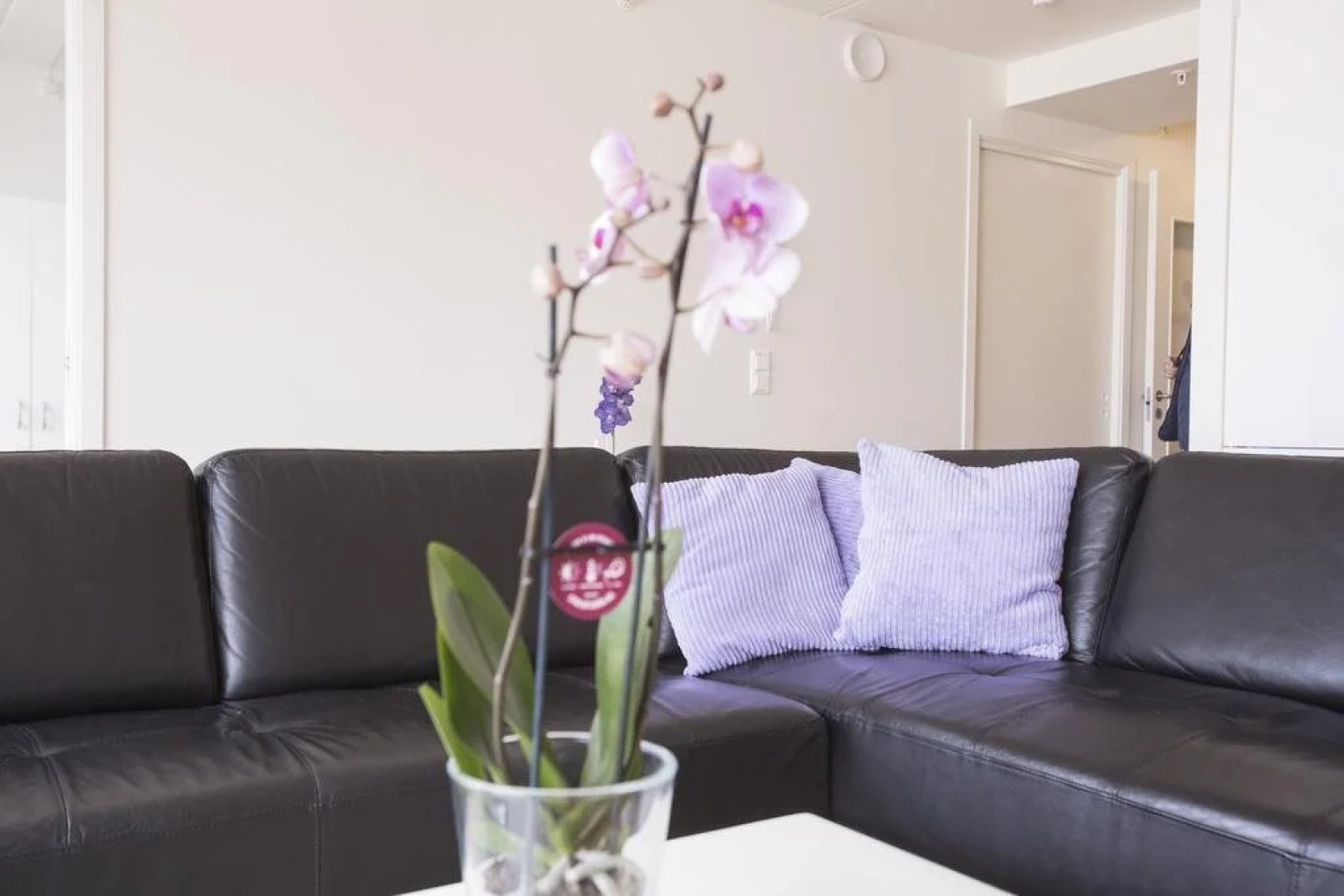 City Housing - Klostergaarden