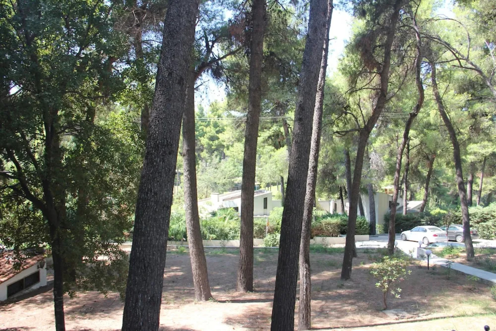 Sani Beach Apartment