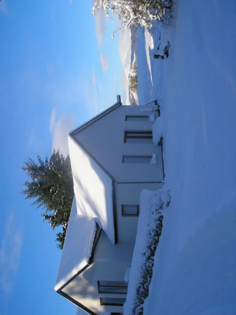 Baron House