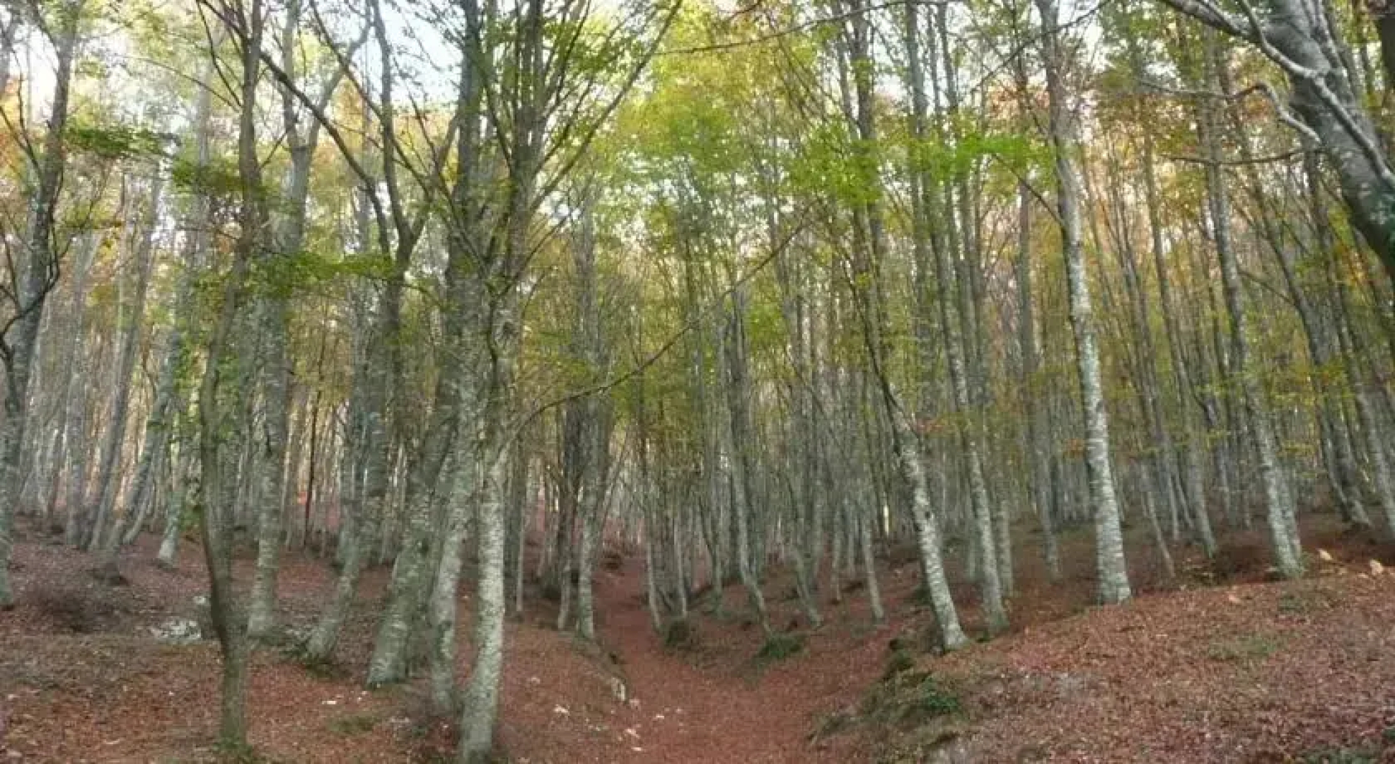 Country house il Gelsomino