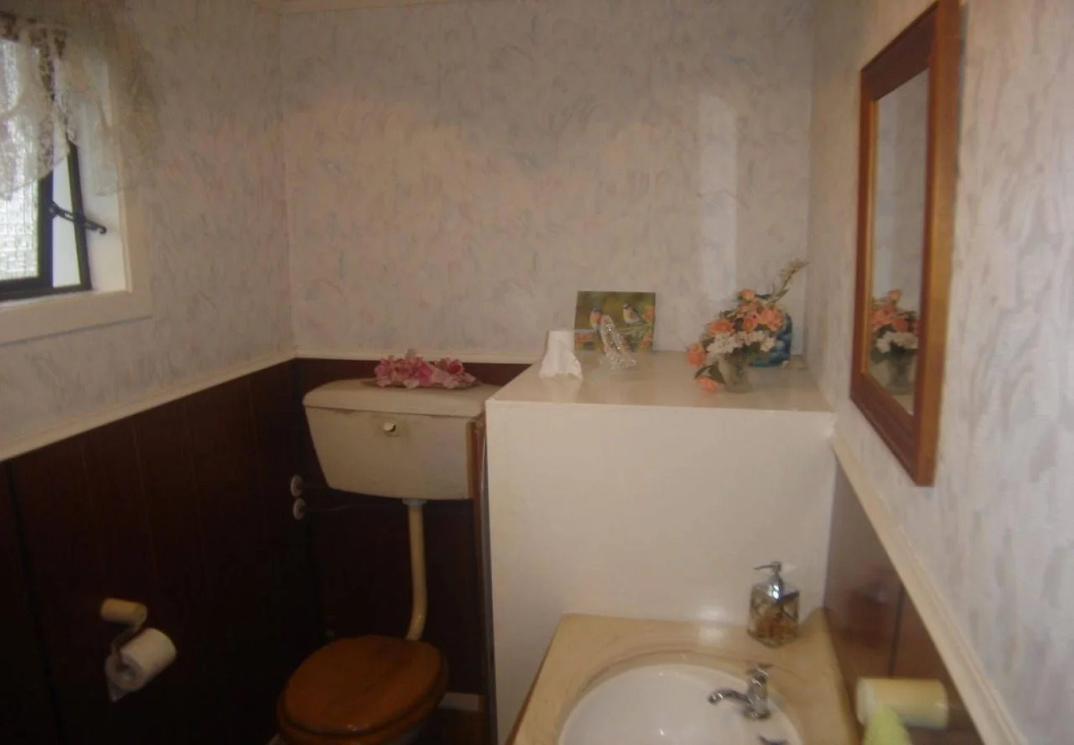 Alpha Homestead Bed & Breakfast