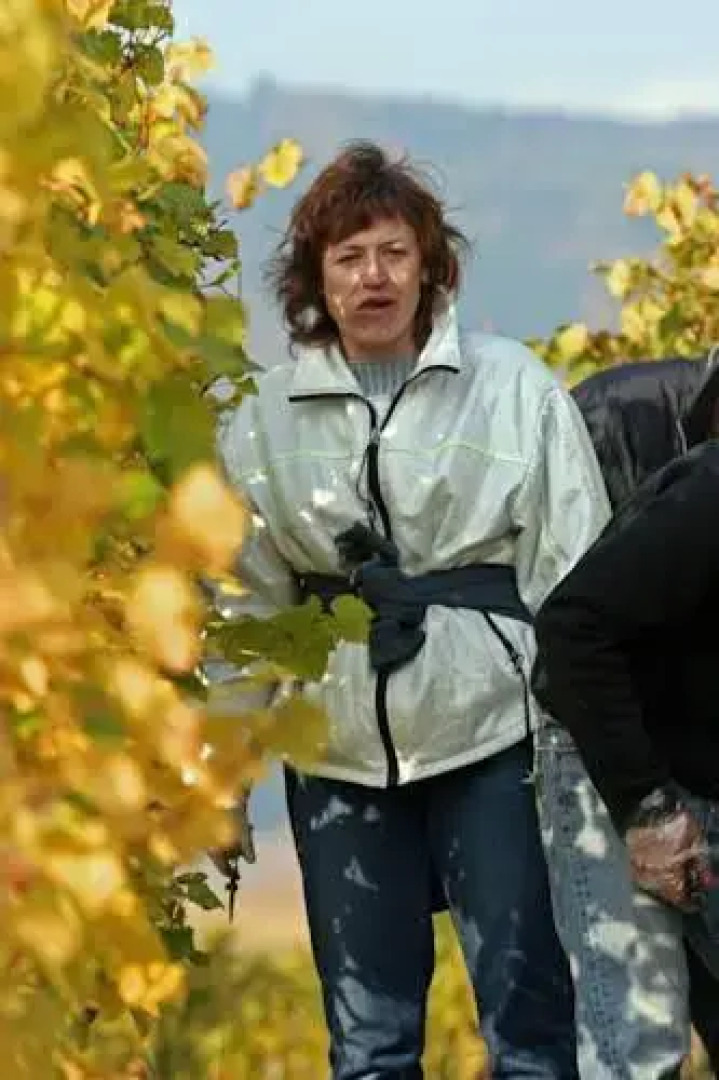 Gîtes Marschall Jean-Pierre