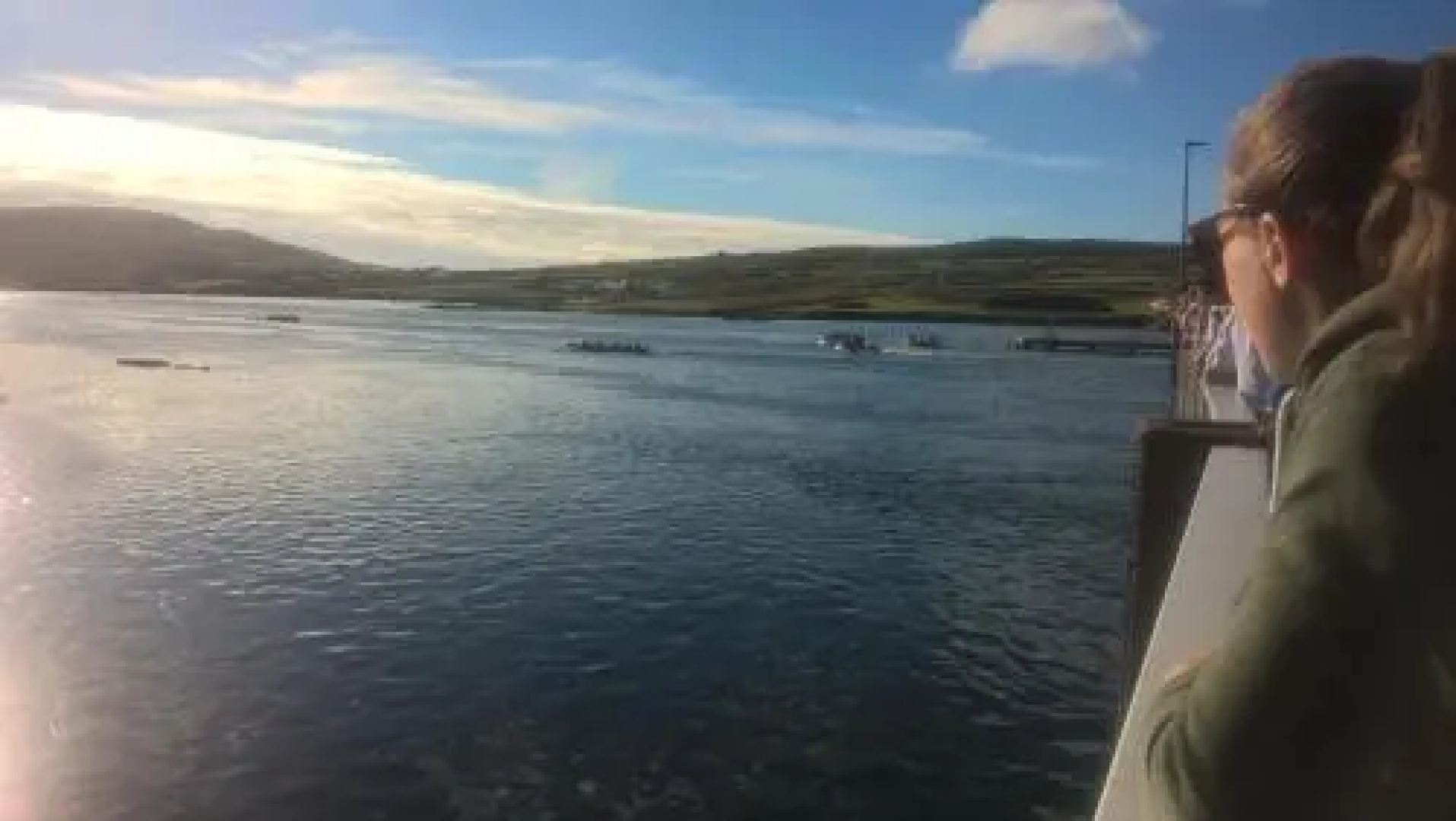 The Ferry Boat