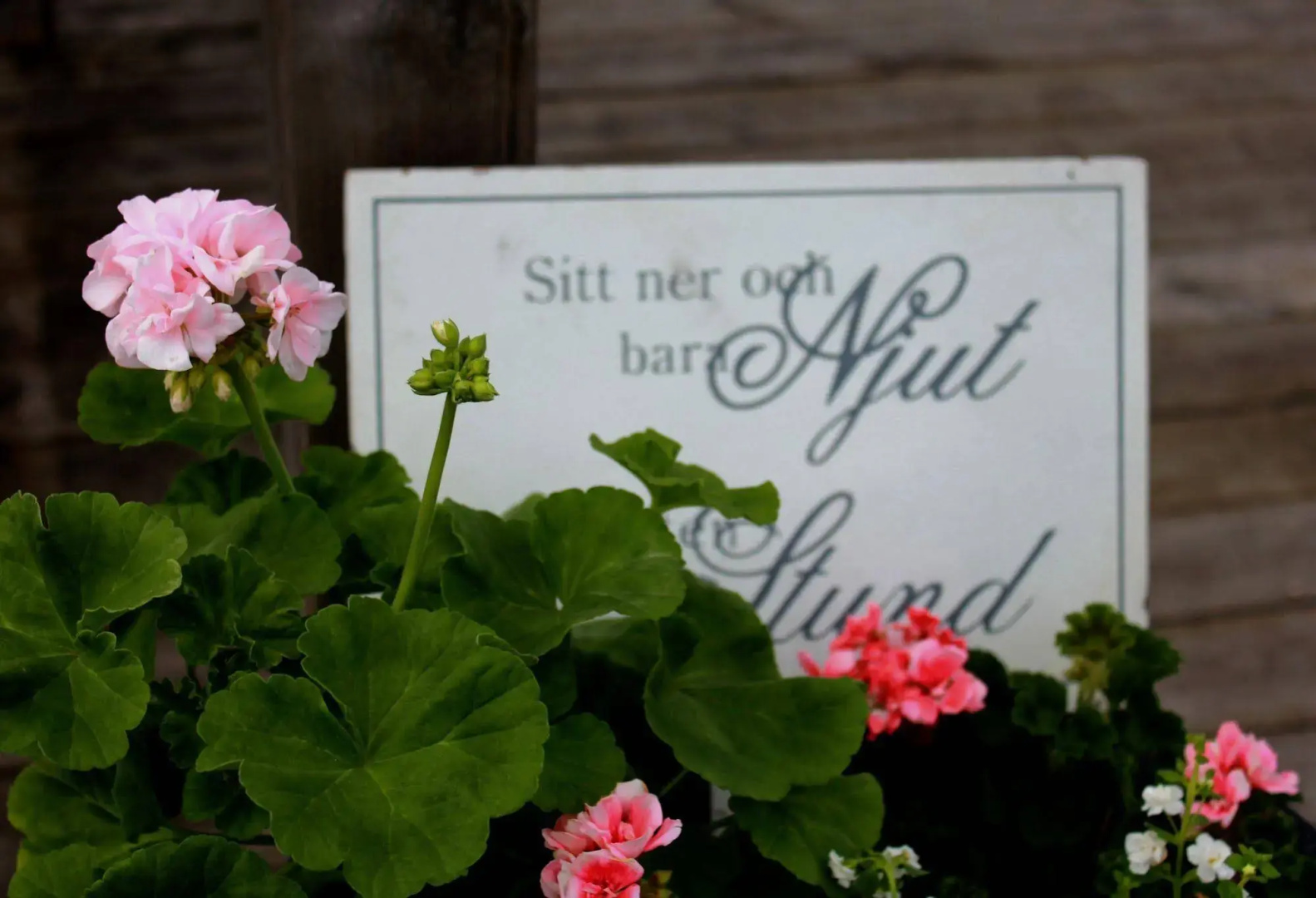 Sjötorps Vandrarhem & Rum - Hostel
