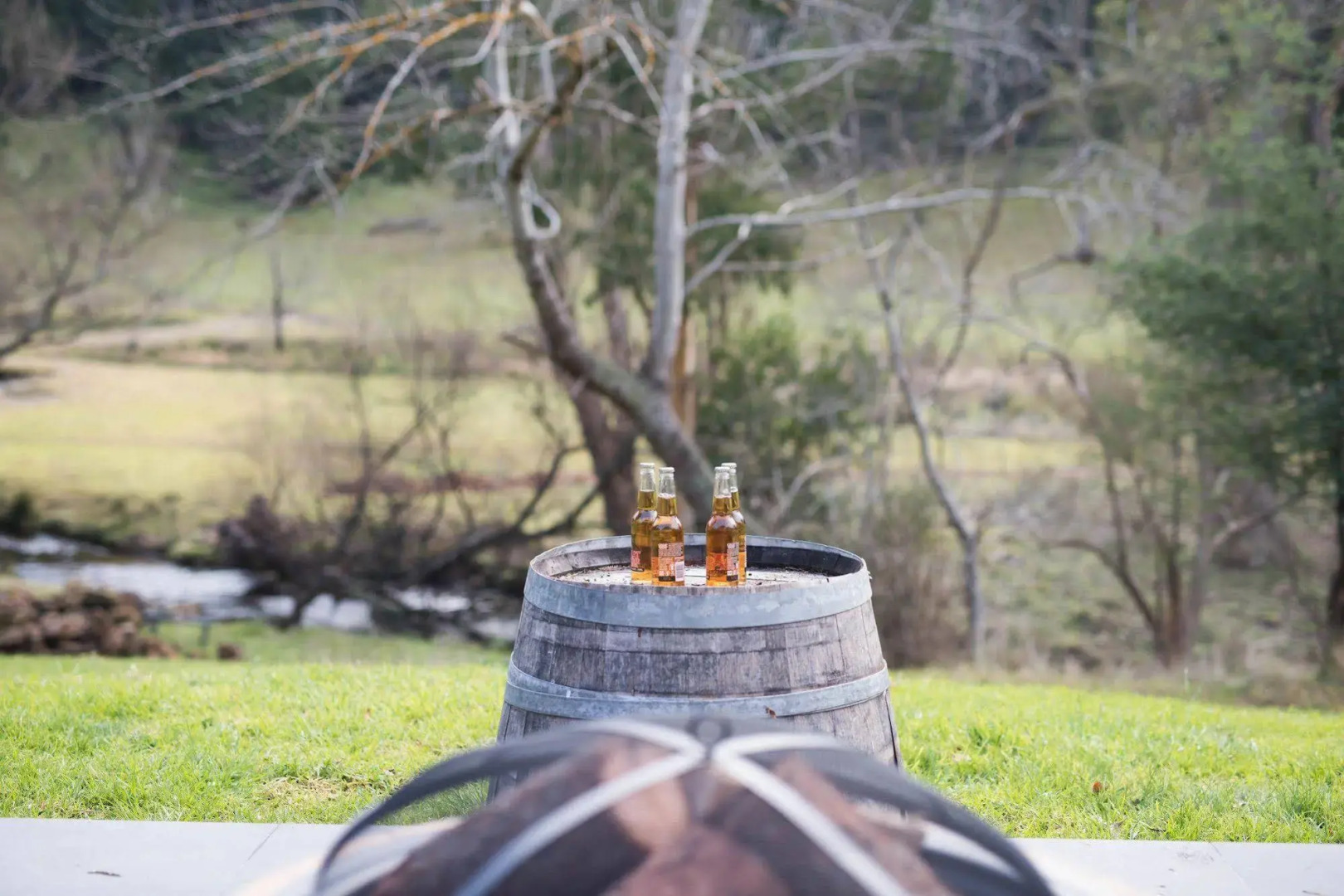 Toorongo River Sanctuary