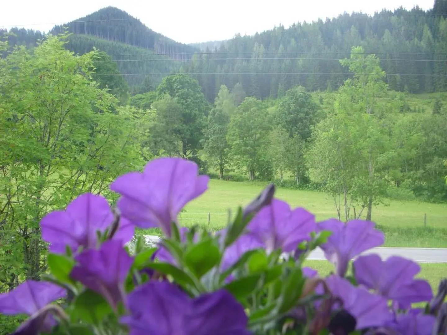 Gästehaus Hochkönig