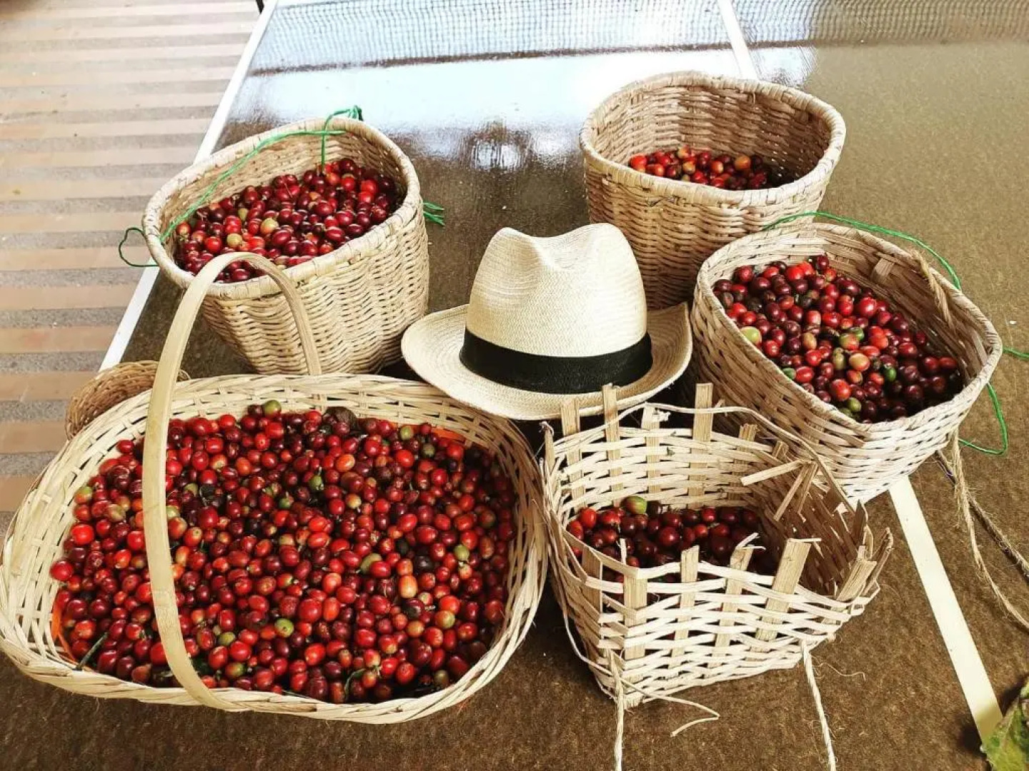 Finca Hotel Alejandria