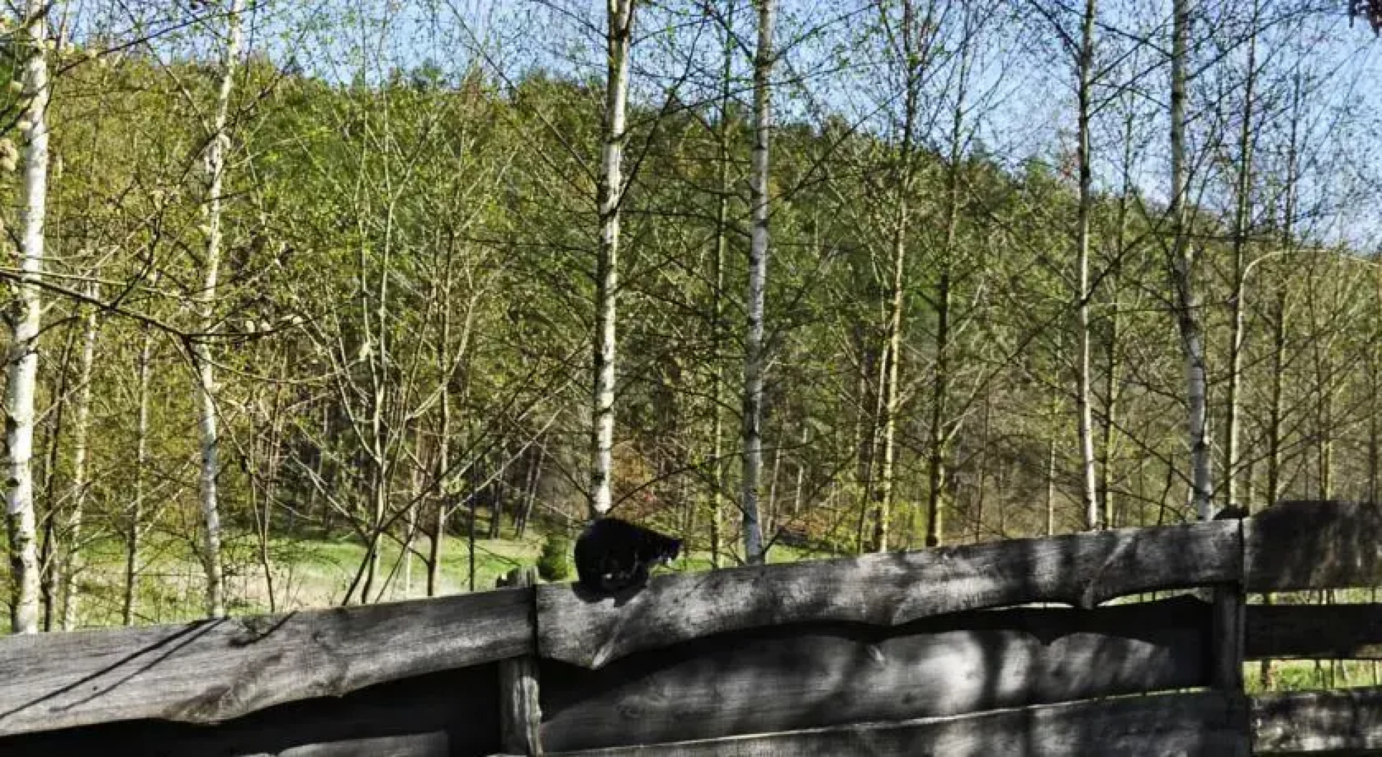 Rezerwat Smaków Leśne Wrota