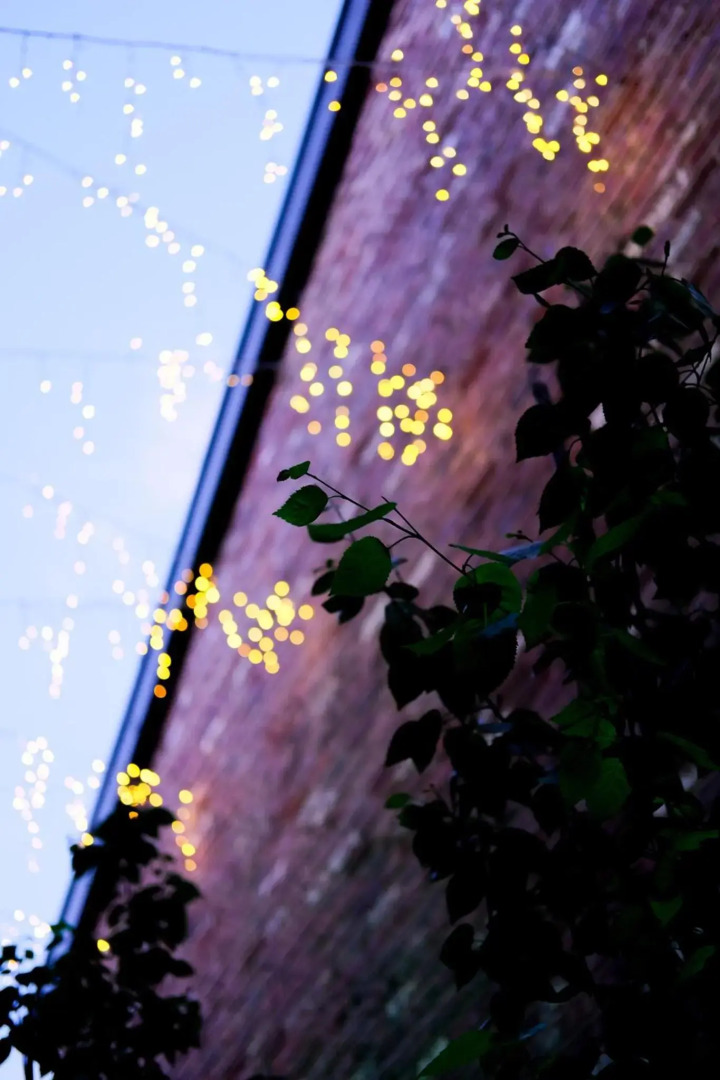 The Eden Warehouse - Pink Apartment (sleeps 4)