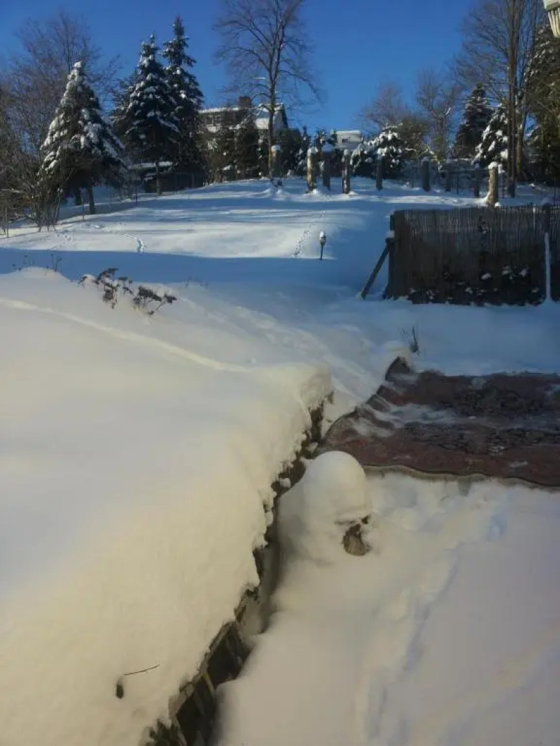 Bed and Breakfast Orchidee