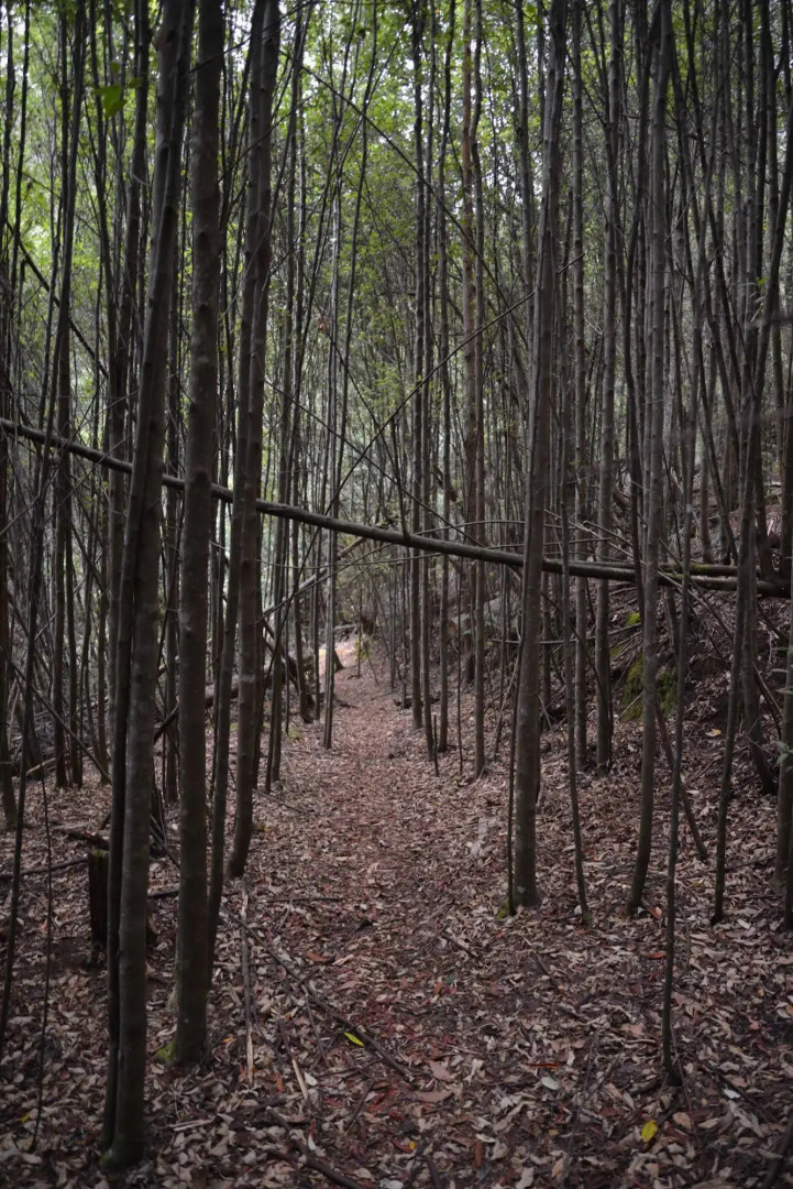 Silver Ridge Retreat