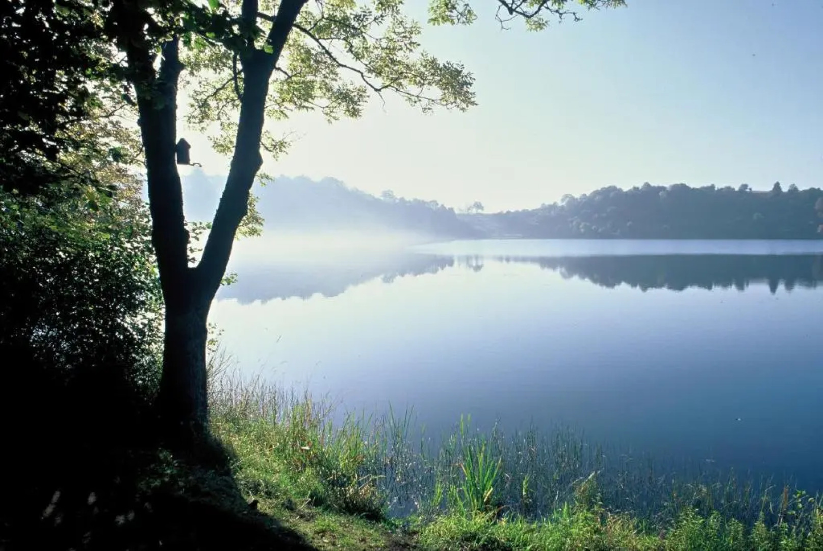 Ferienwohnung Vulkaneifel