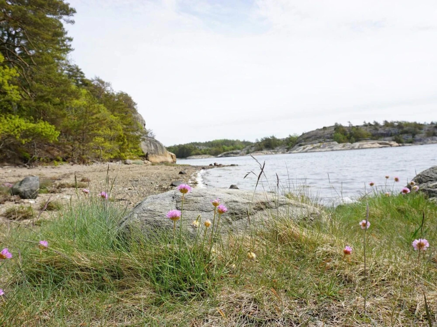 Peaceful Coastal Getaway on Oddo