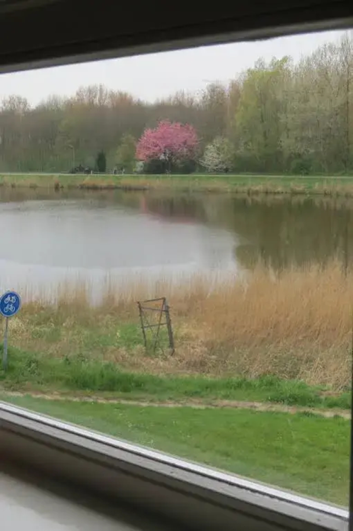 Villa Zomerdijk