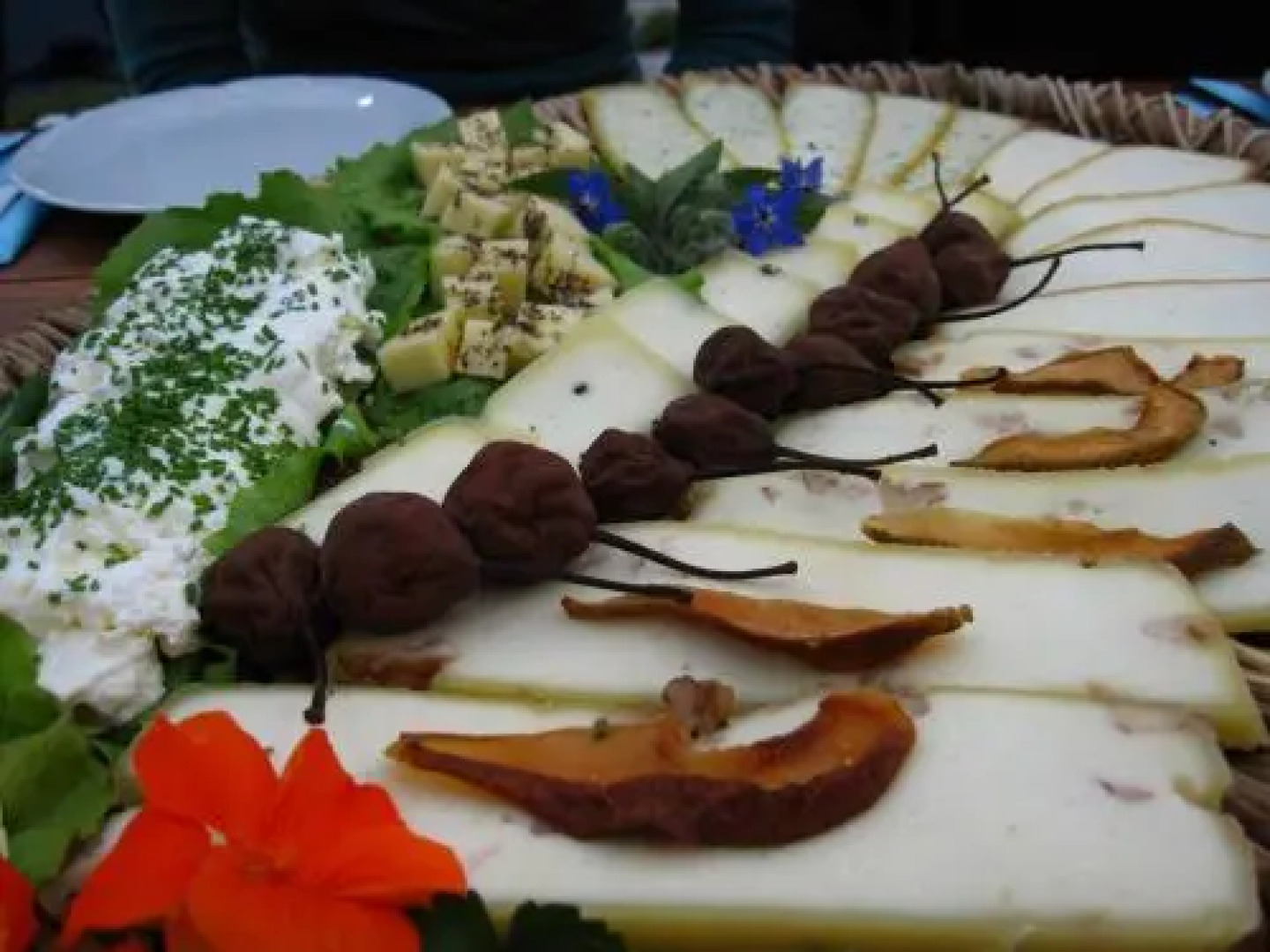 Guest House Pri Rogovilcu