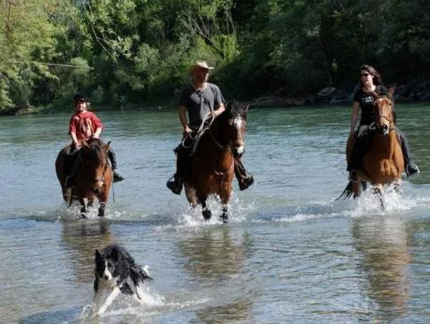 Agriturismo La Finca