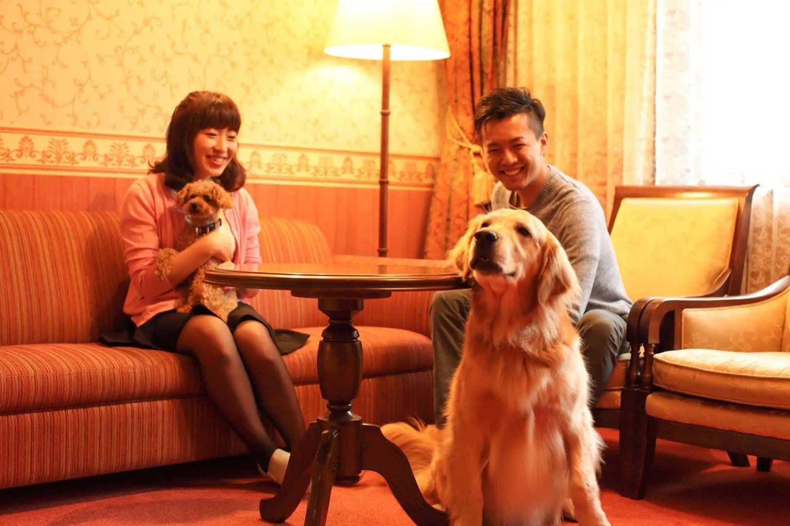 Izumigo Takayama Dog Paradise Hotel