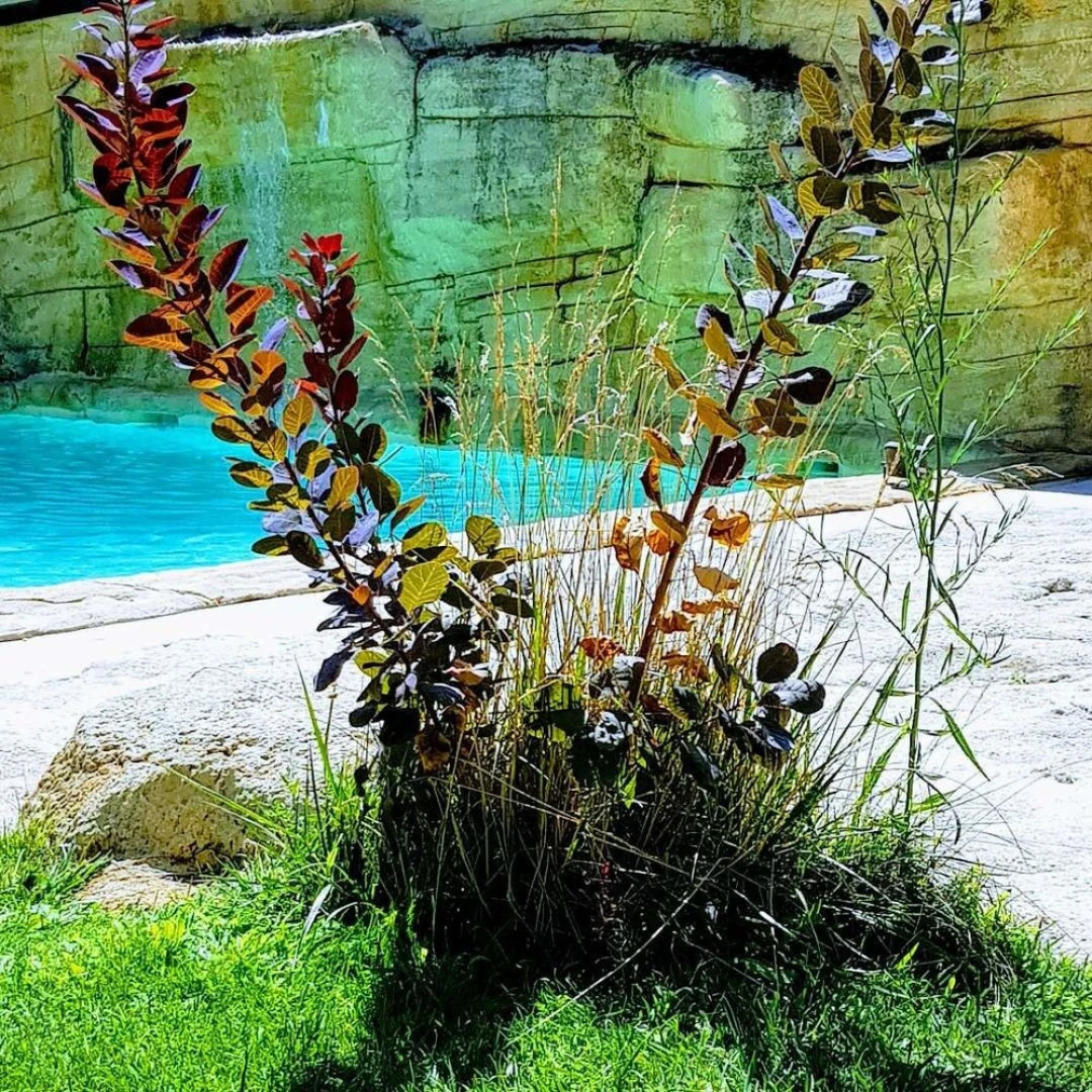 Chambres D'Hotes L'Eveil Des Sens