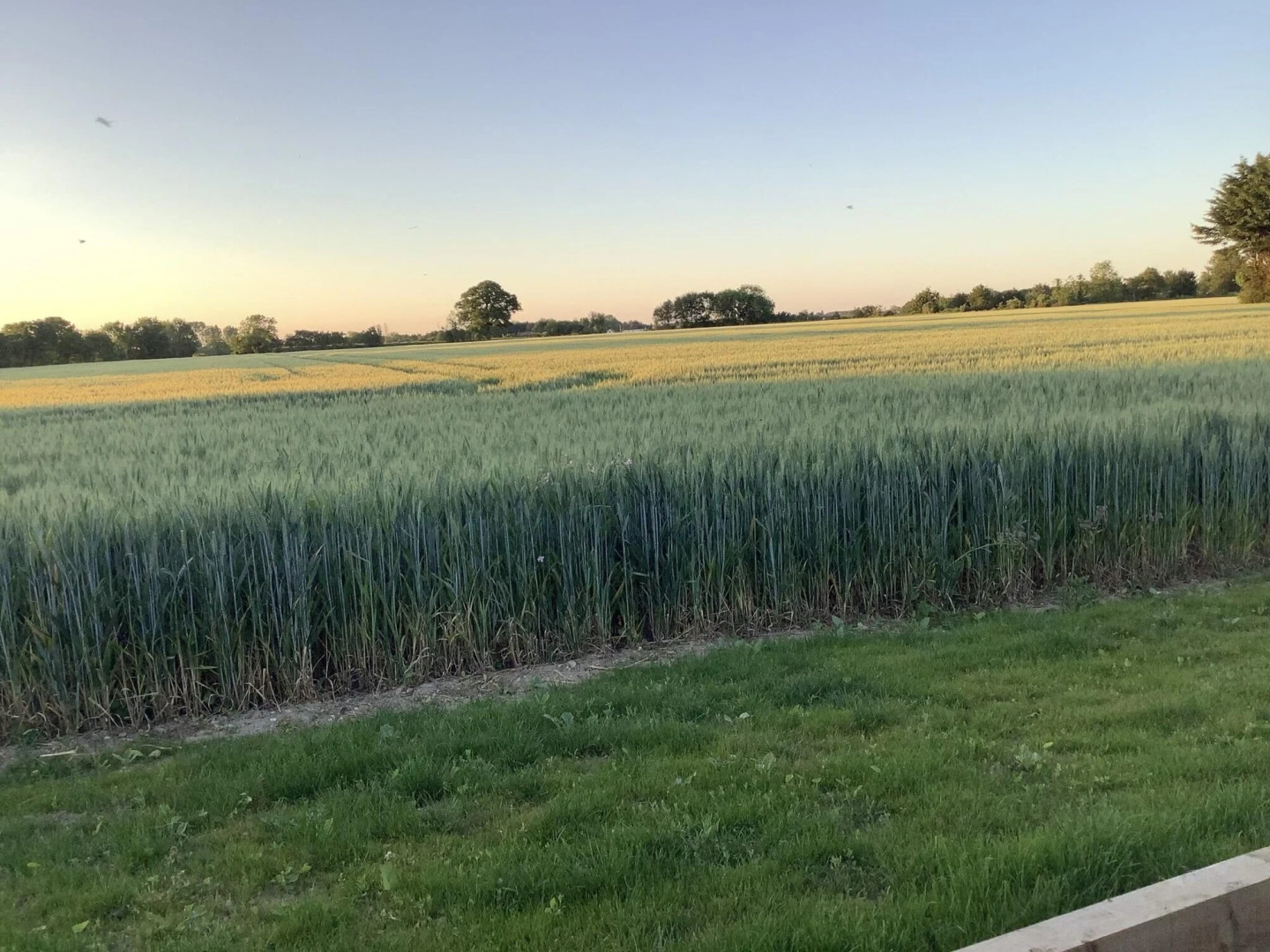 The Kings Arms Broad Green