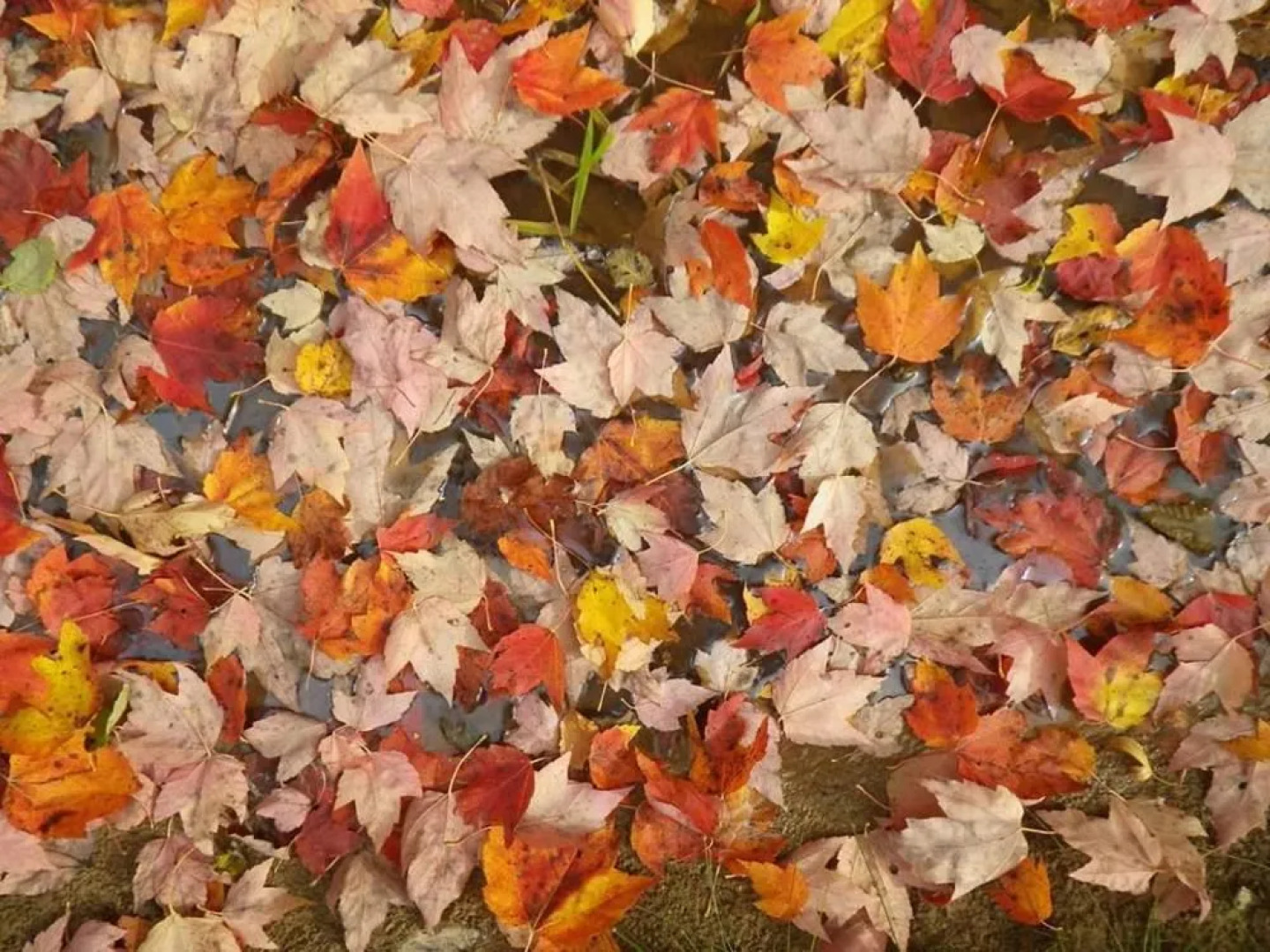 The Mission House Bed & Breakfast