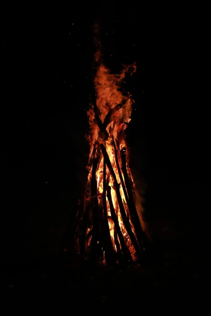 Planet Green Plantation Resorts, Wayanad, Kerala