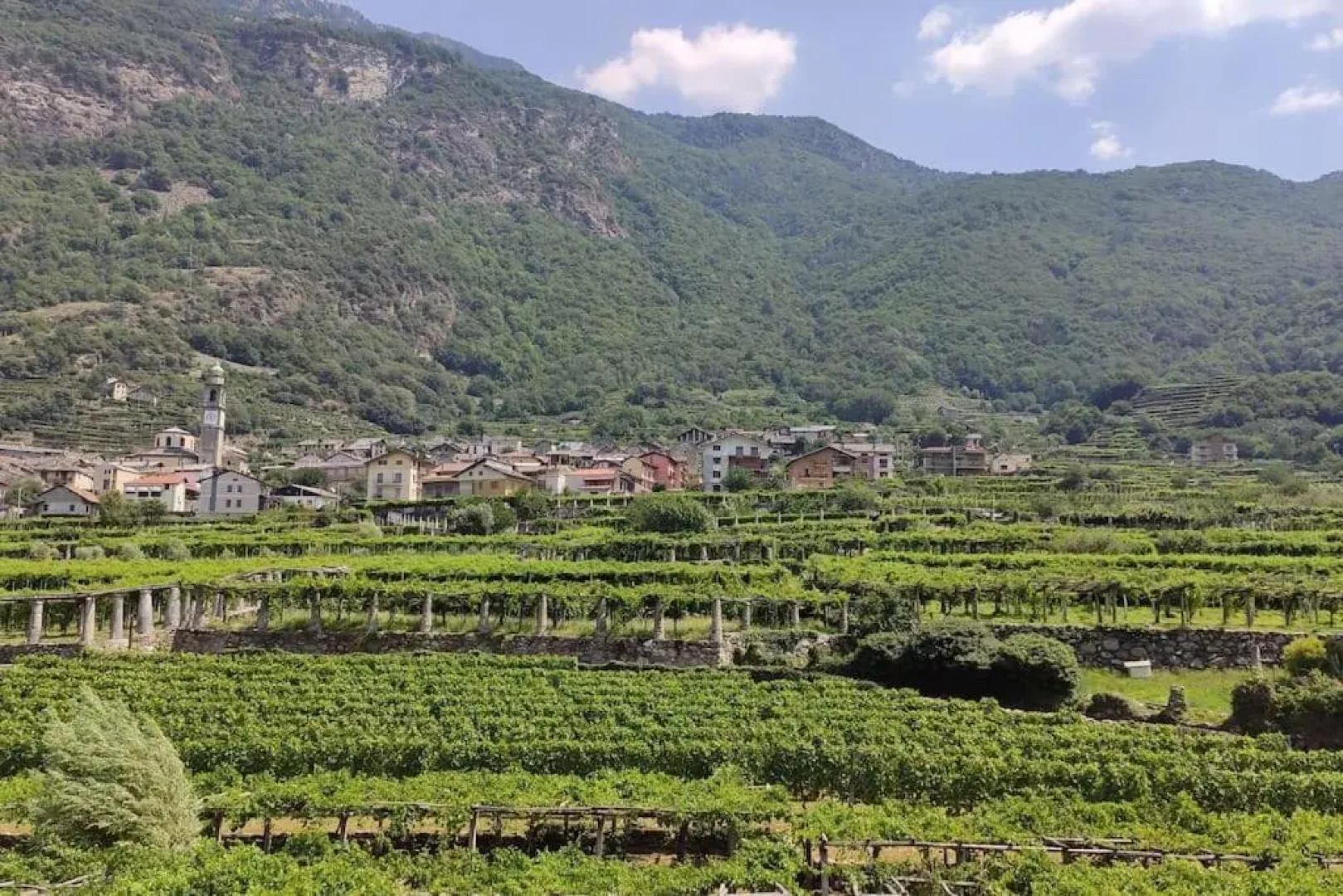 La Casa Dei Nonni 3,0