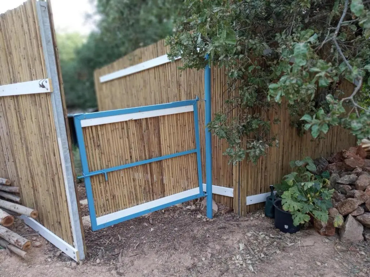 The House In The Oaks הבית באלונים