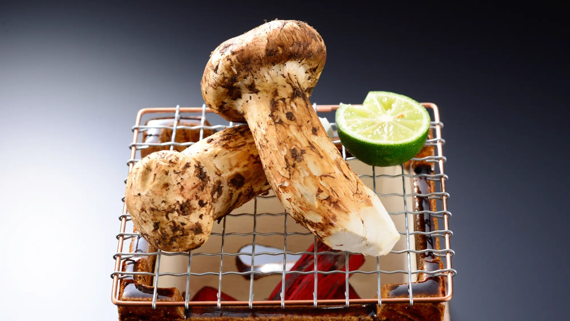 Naguri Onsen Taishoukaku