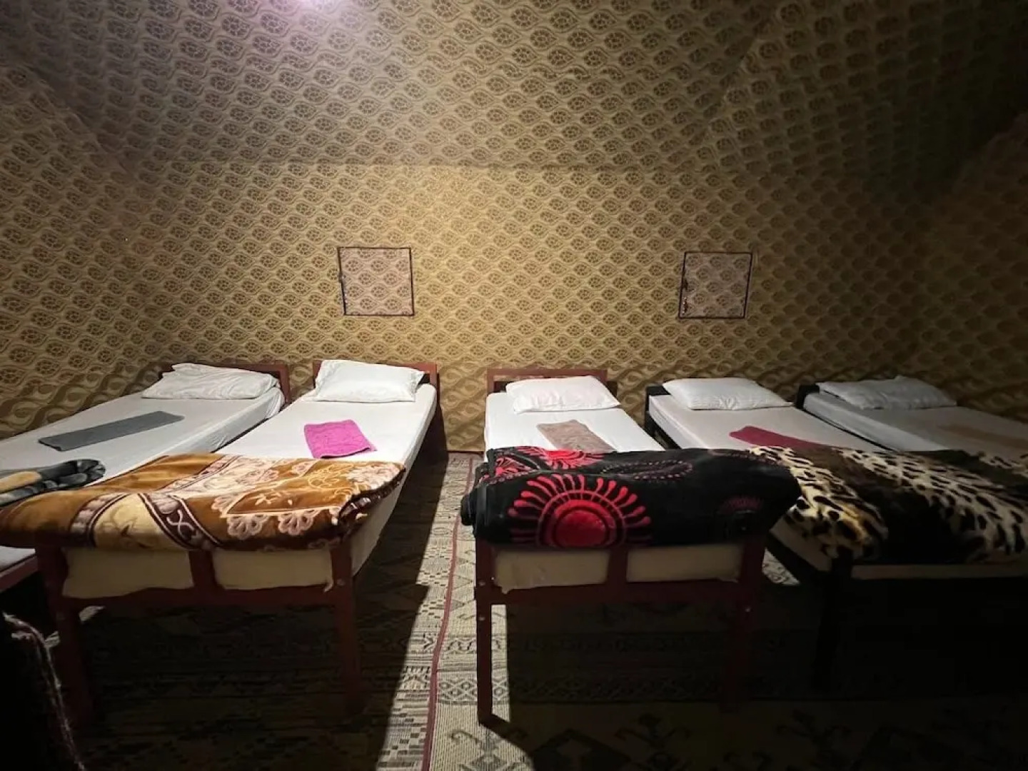 Bedouin Lifestyle Camp